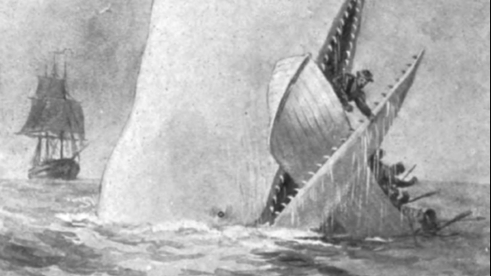 File:Moby Dick p510 illustration (cropped).jpg