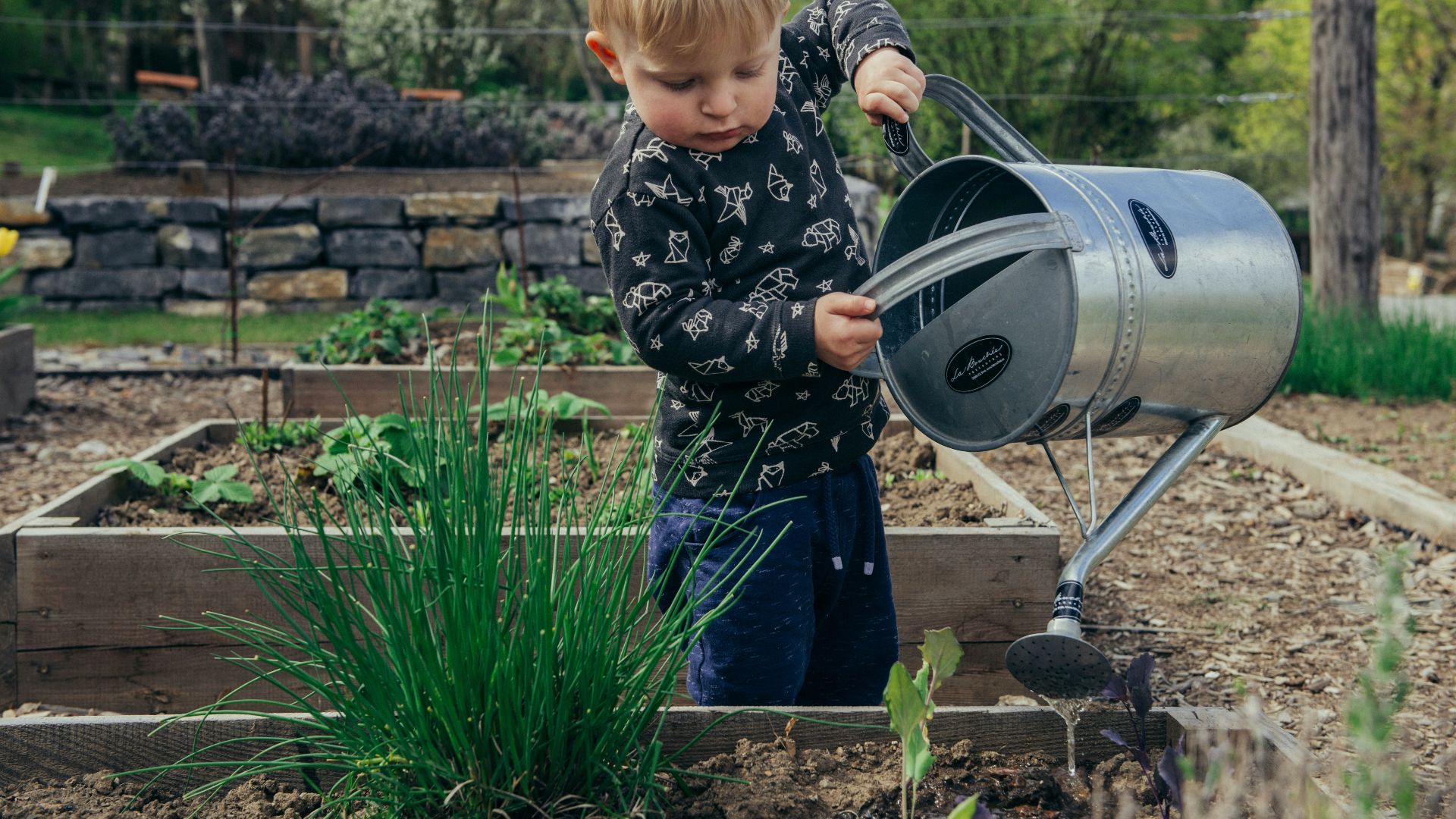boy in black and white long sleeve shirt standing beside gray metal watering can during daytime