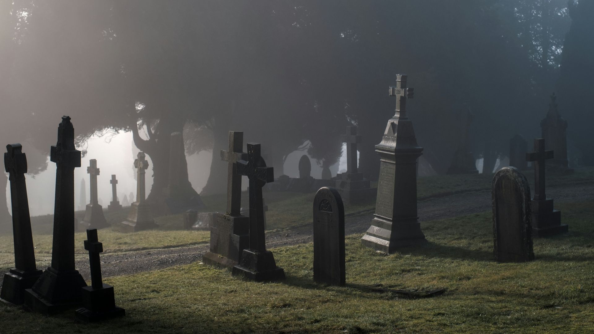 a foggy graveyard with tombstones in the foreground