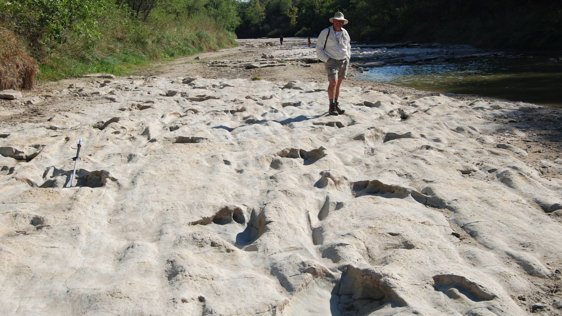 File:Paluxy River dinosaur tracks with human for scale.jpg