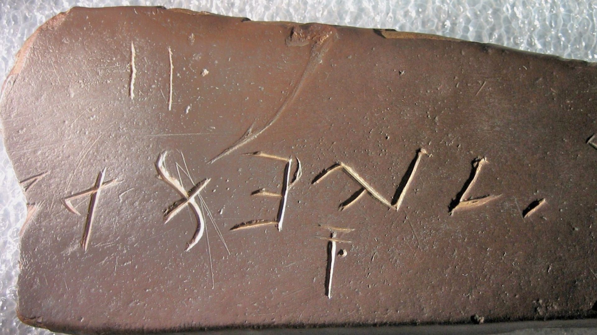 File:Bat Creek Exam 5-28-10.JPG