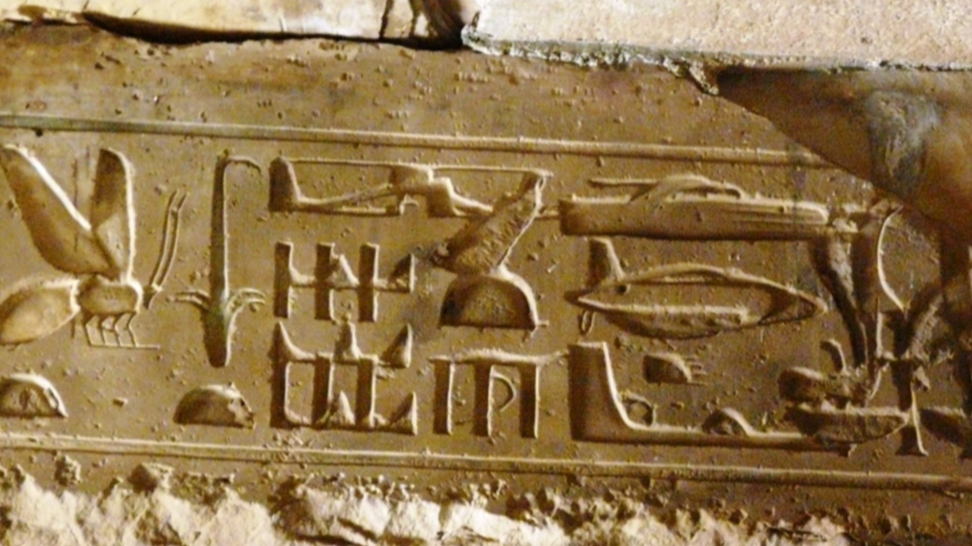 File:Hieroglif z Abydos.jpg