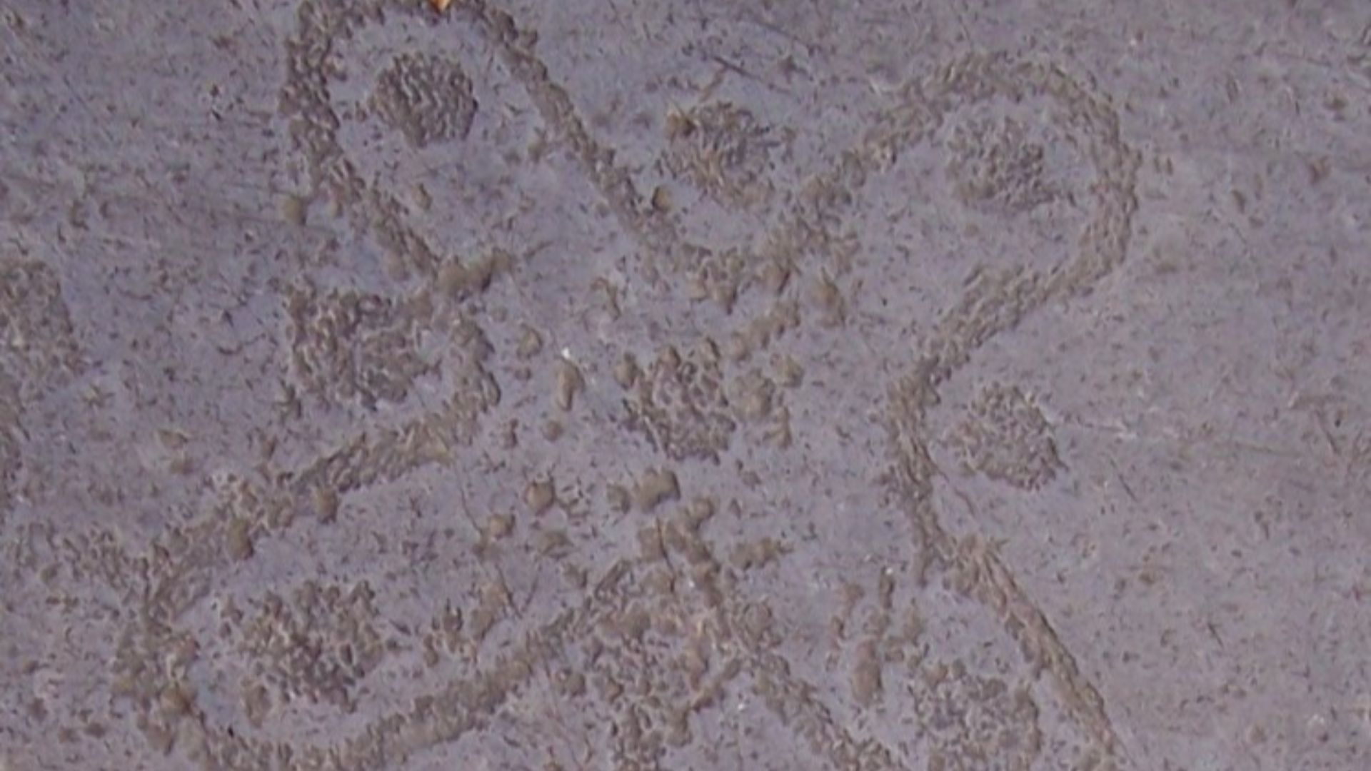 File:Rosa camuna R24 - Foppe - Nadro (Foto Luca Giarelli).jpg