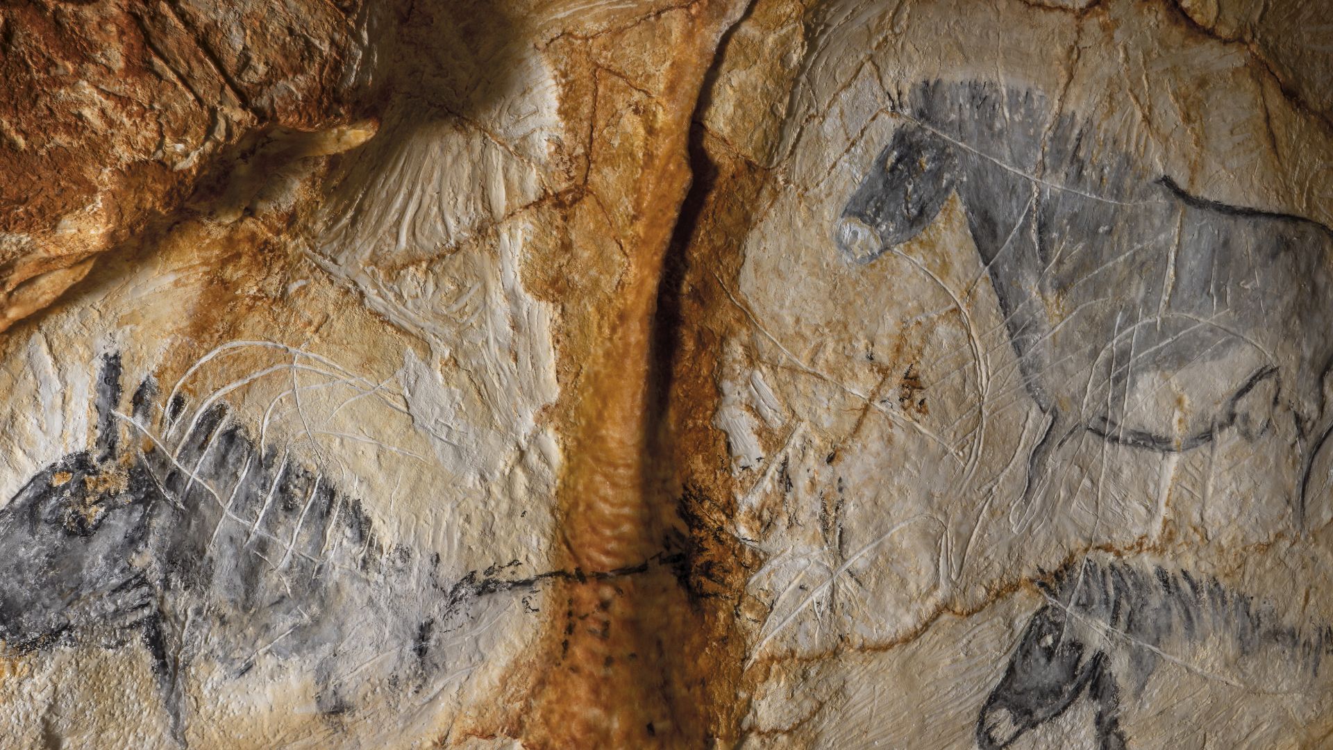 File:Panneau des chevaux - Cosquer Méditerranée.jpg