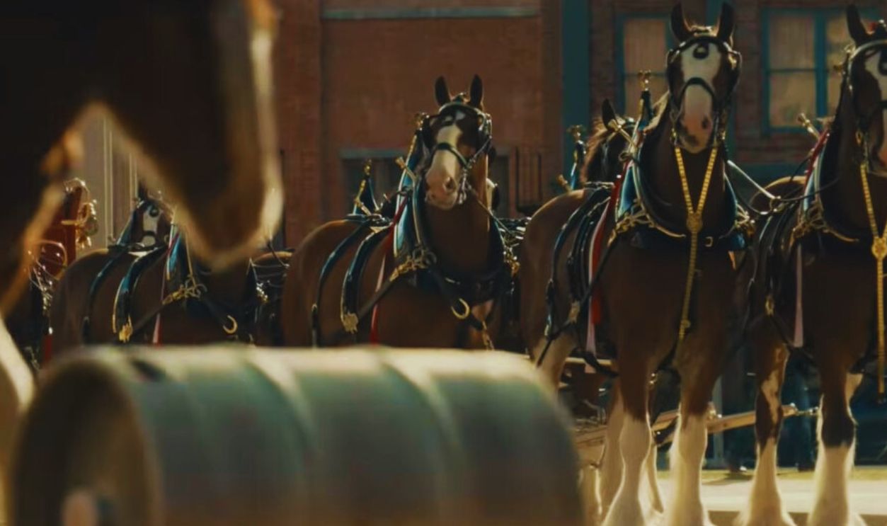 Budweiser Super Bowl LIX