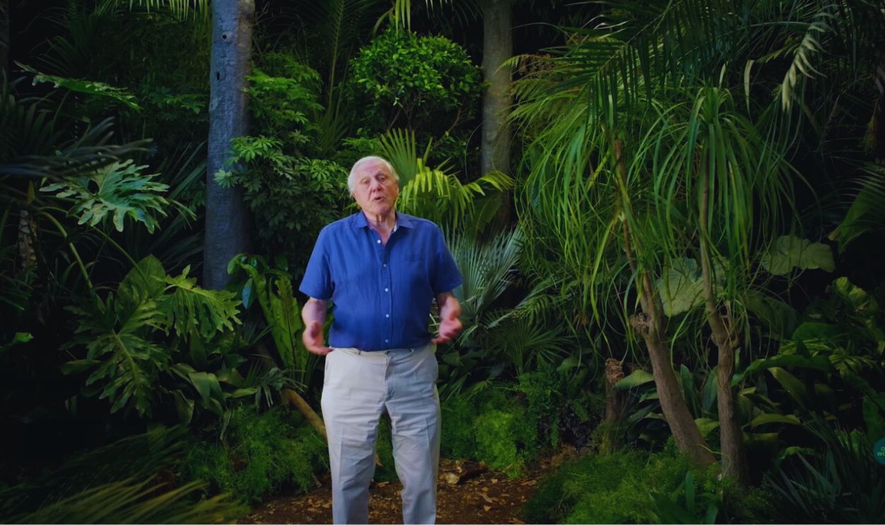 Screenshot from With David Attenborough: Nature’s Ingenious Ways to Survive (2019)