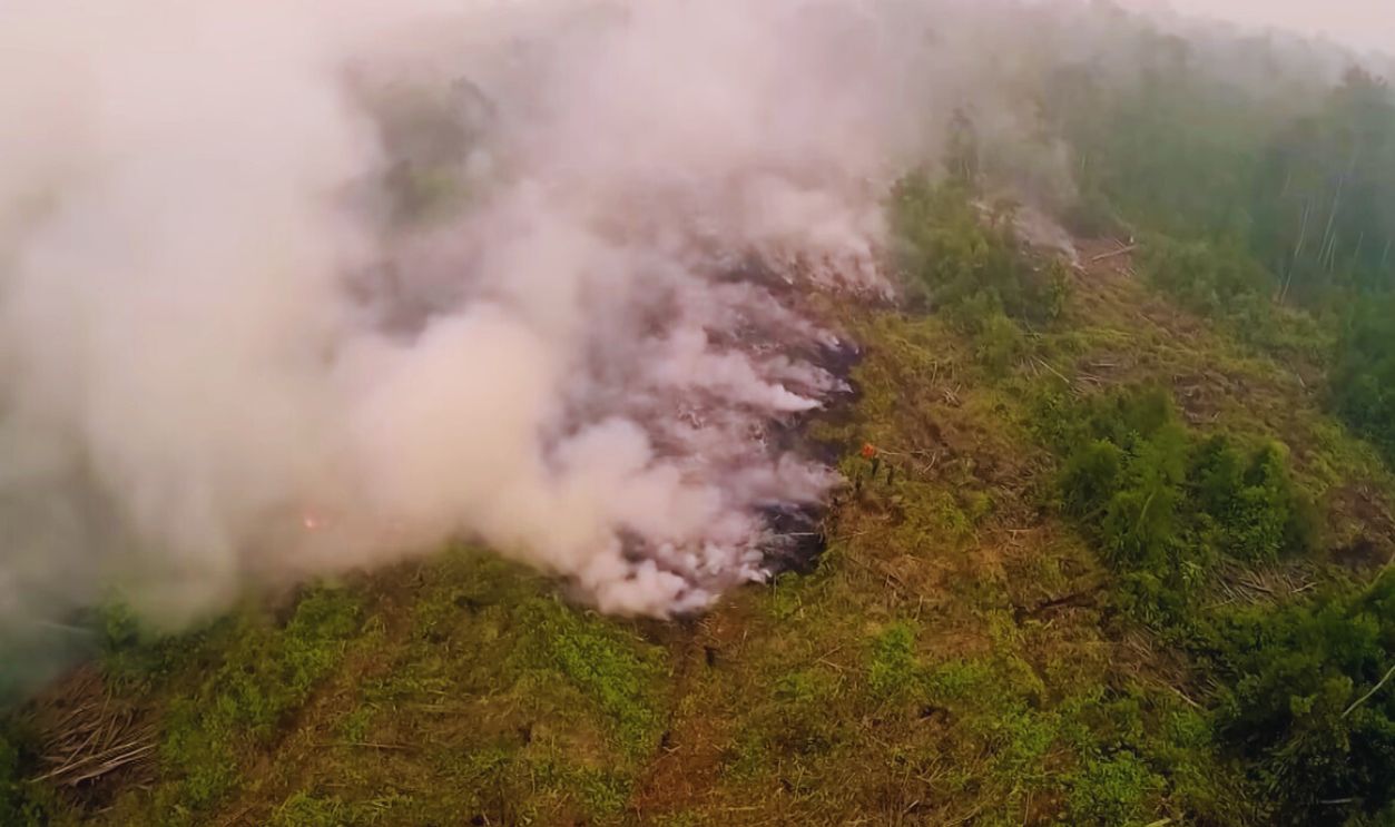 Screenshot from Climate Change: The Facts (2019)