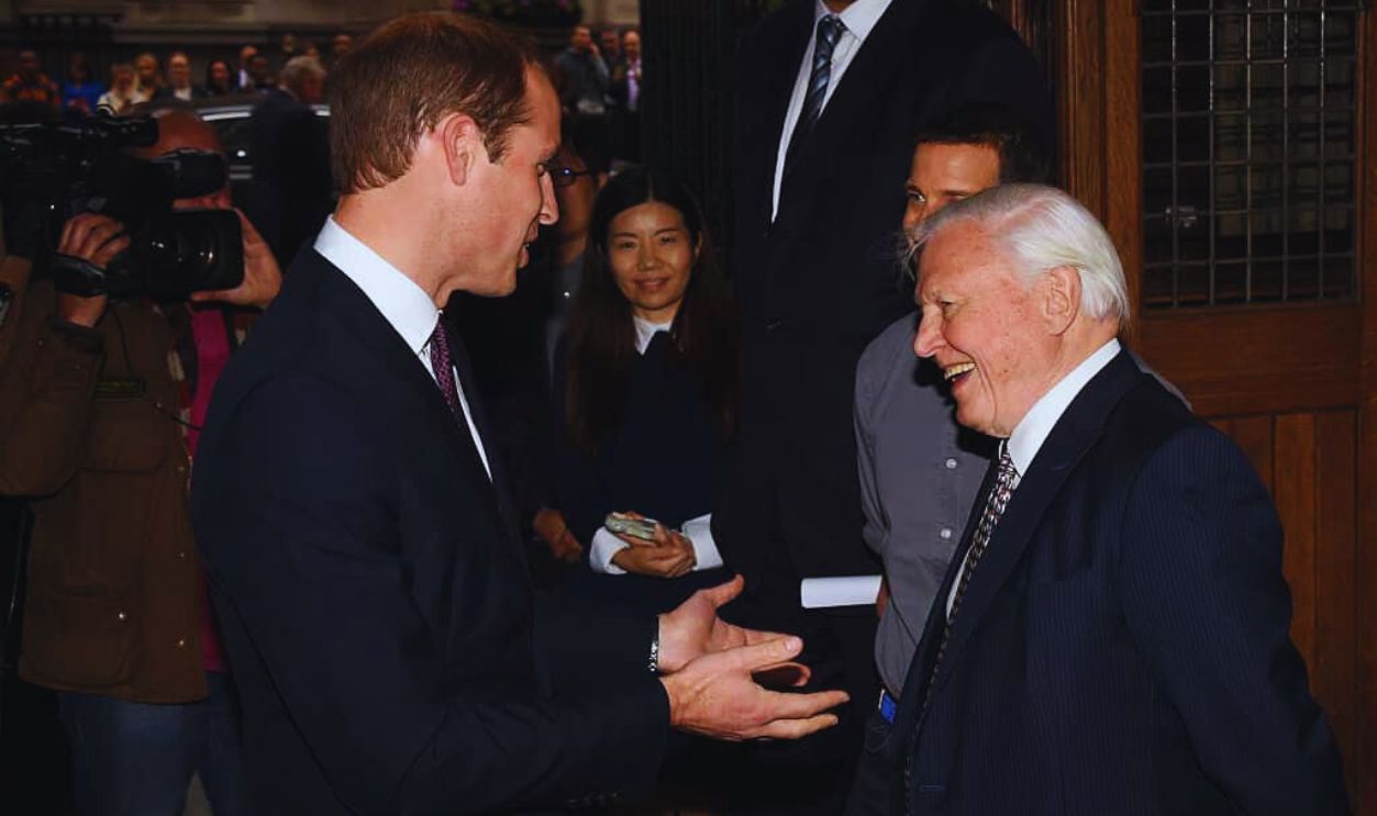 Gettyimages - 493348412, The Duke Of Cambridge Delivers Speech On The Illegal Wildlife Trade For Chinese Television 