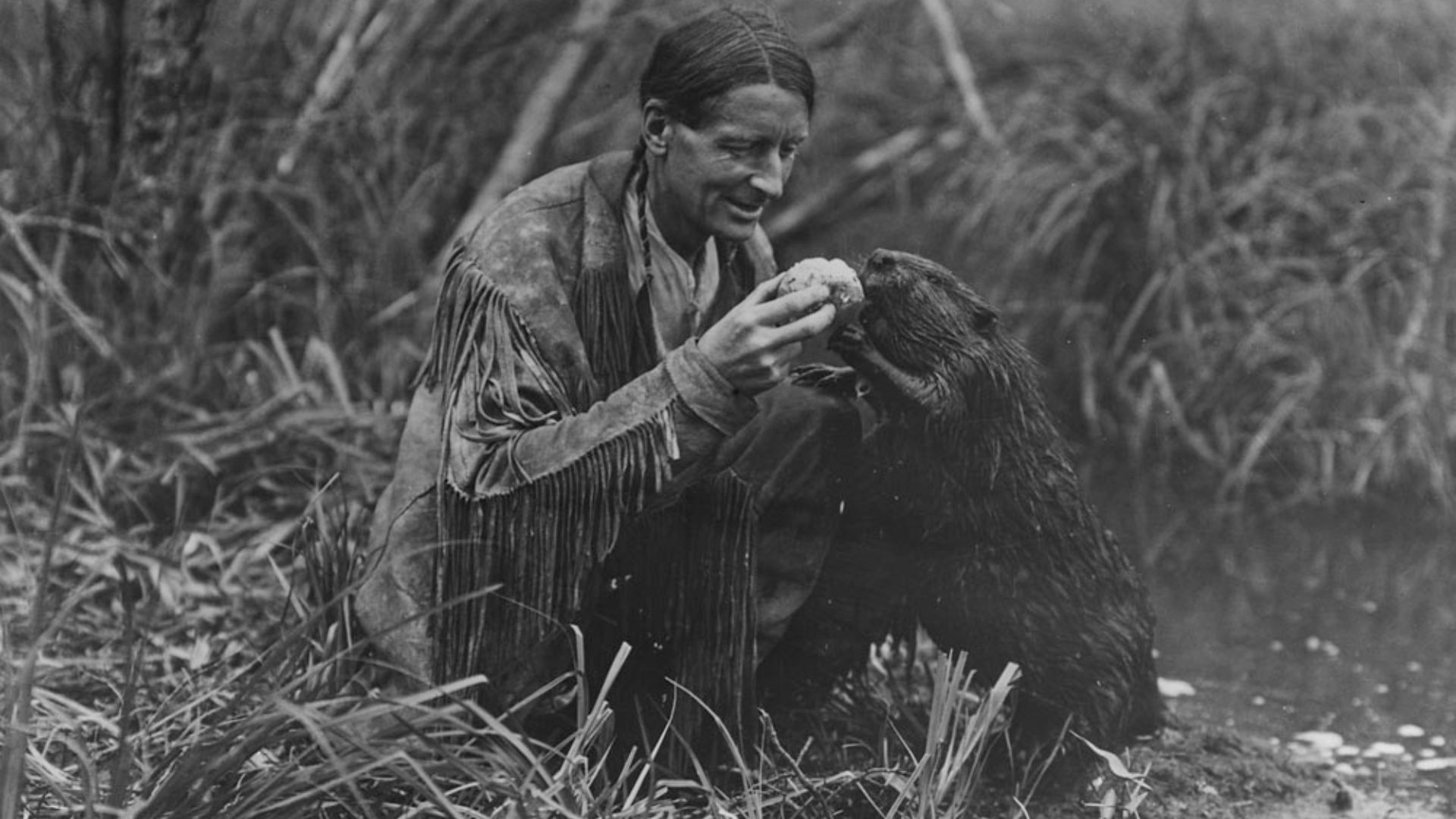 File:Grey Owl feeding a beaver a jelly roll Grey Owl donnant un roulé à la gelée (7394419798).jpg