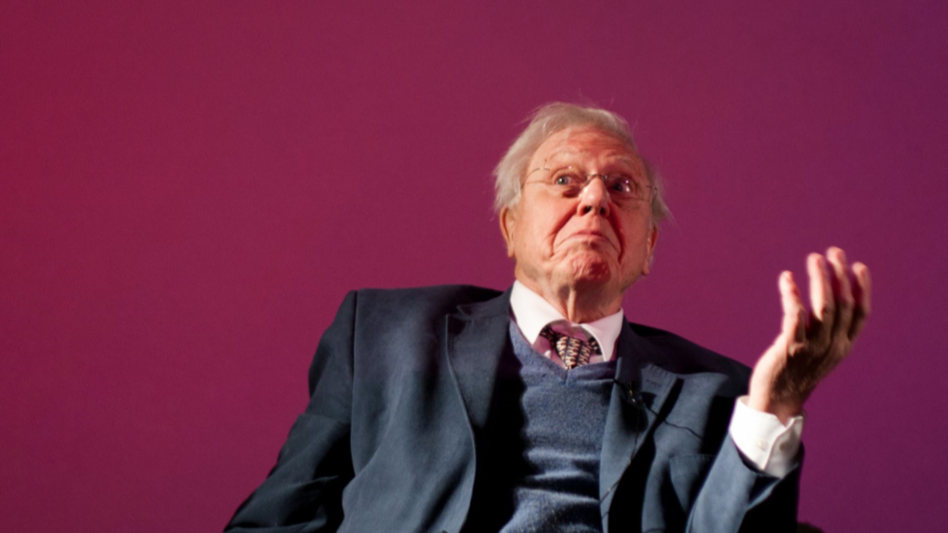 File:David Attenborough.jpeg