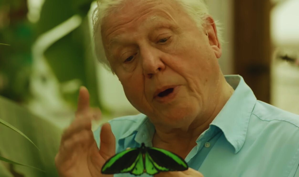  Screenshot from Attenborough’s Ark (2012)
