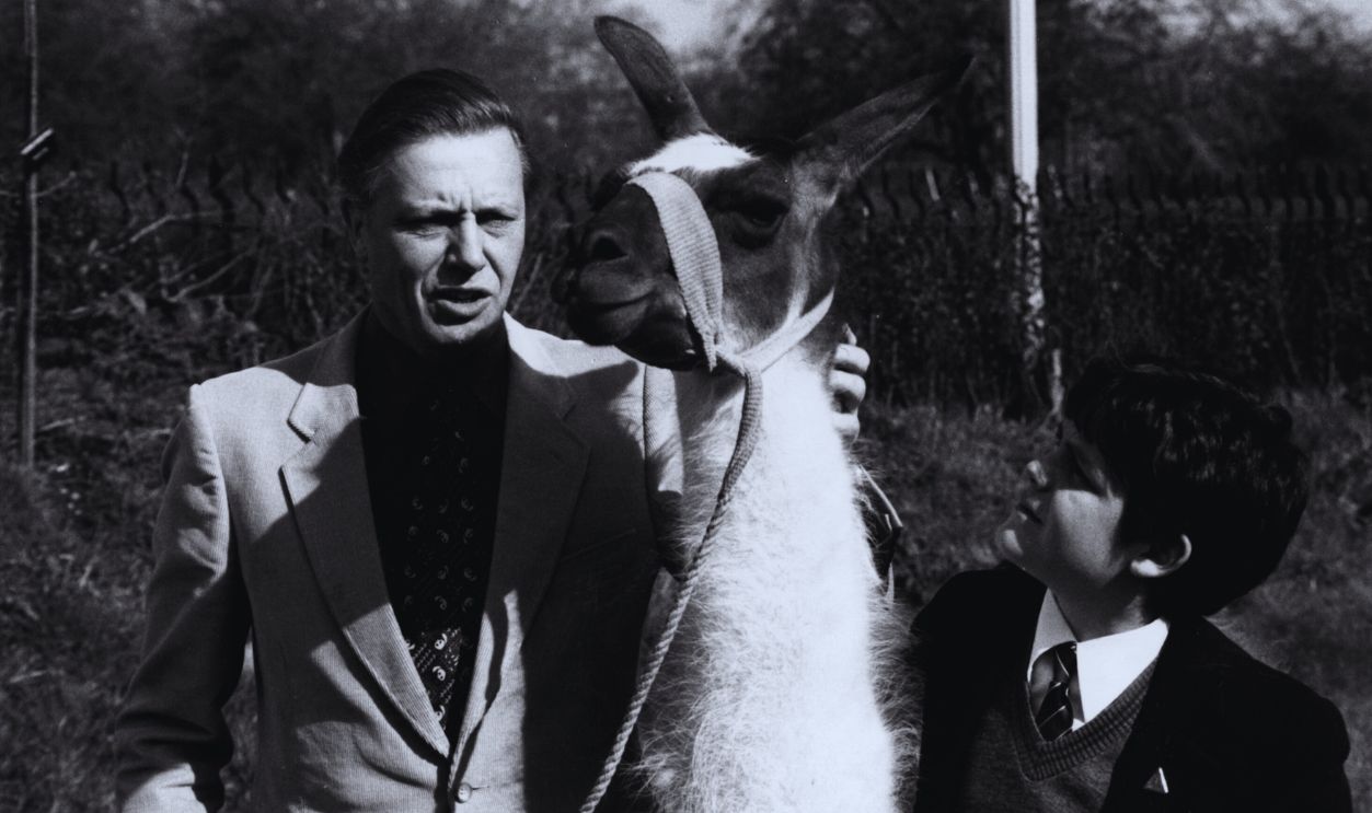 Gettyimages - 2663463, David Attenborough David Attenborough, British naturalist, with a Llama. 