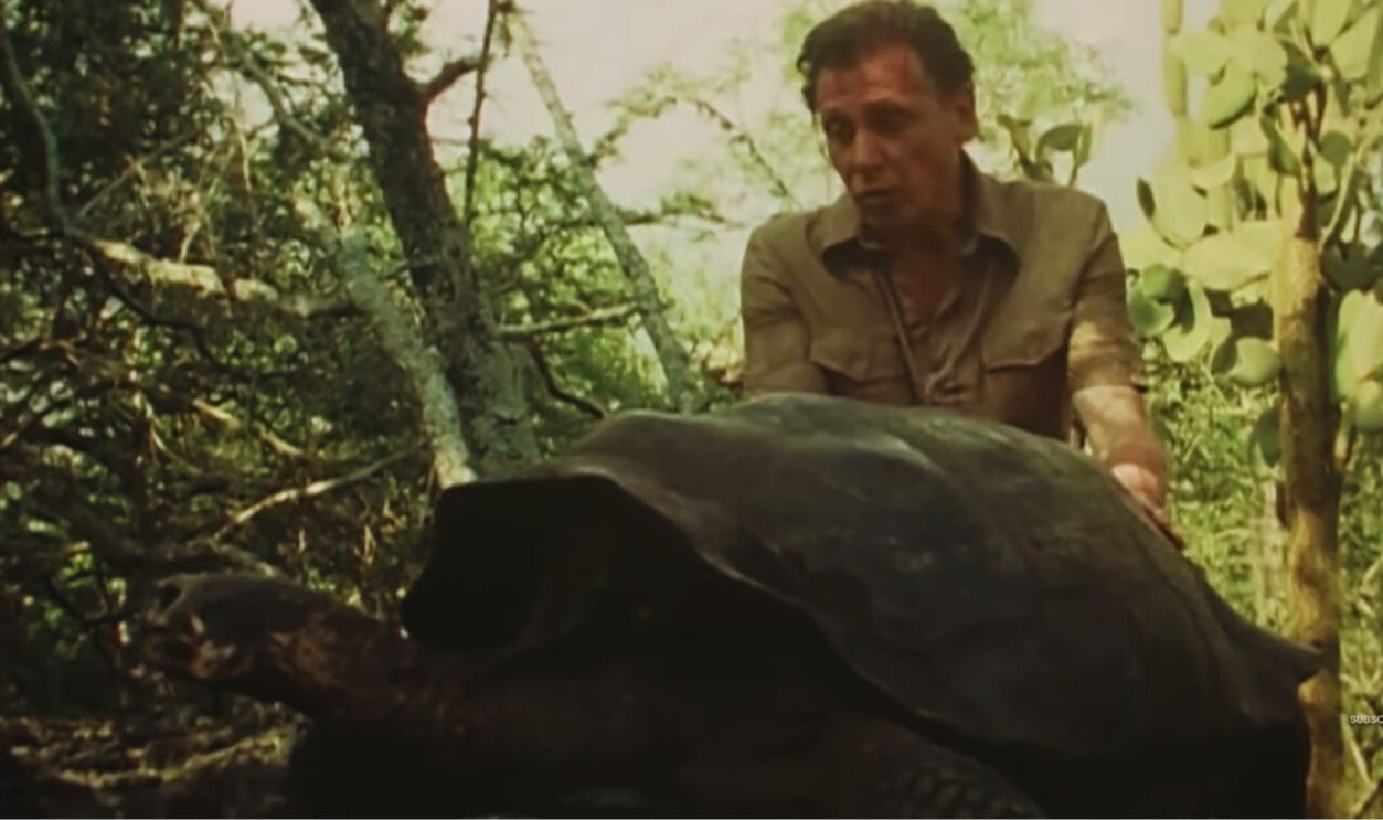 Screenshot from Life on Earth (1979)