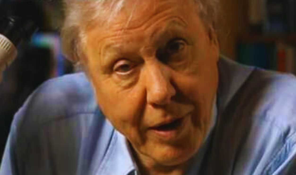 Screenshot from The Amber Time Machine (2002)