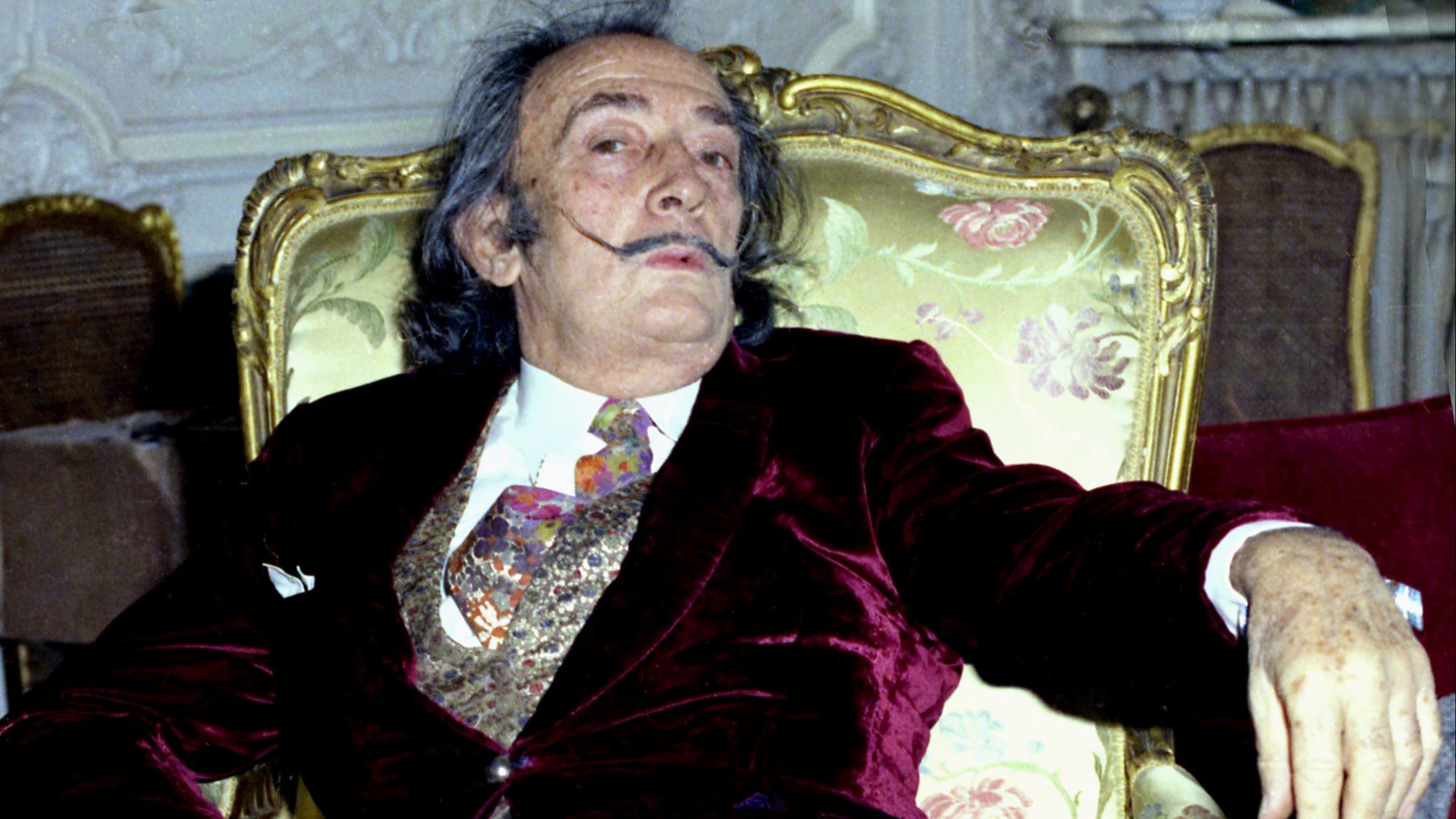 File:Dali 2 Allan Warren.jpg