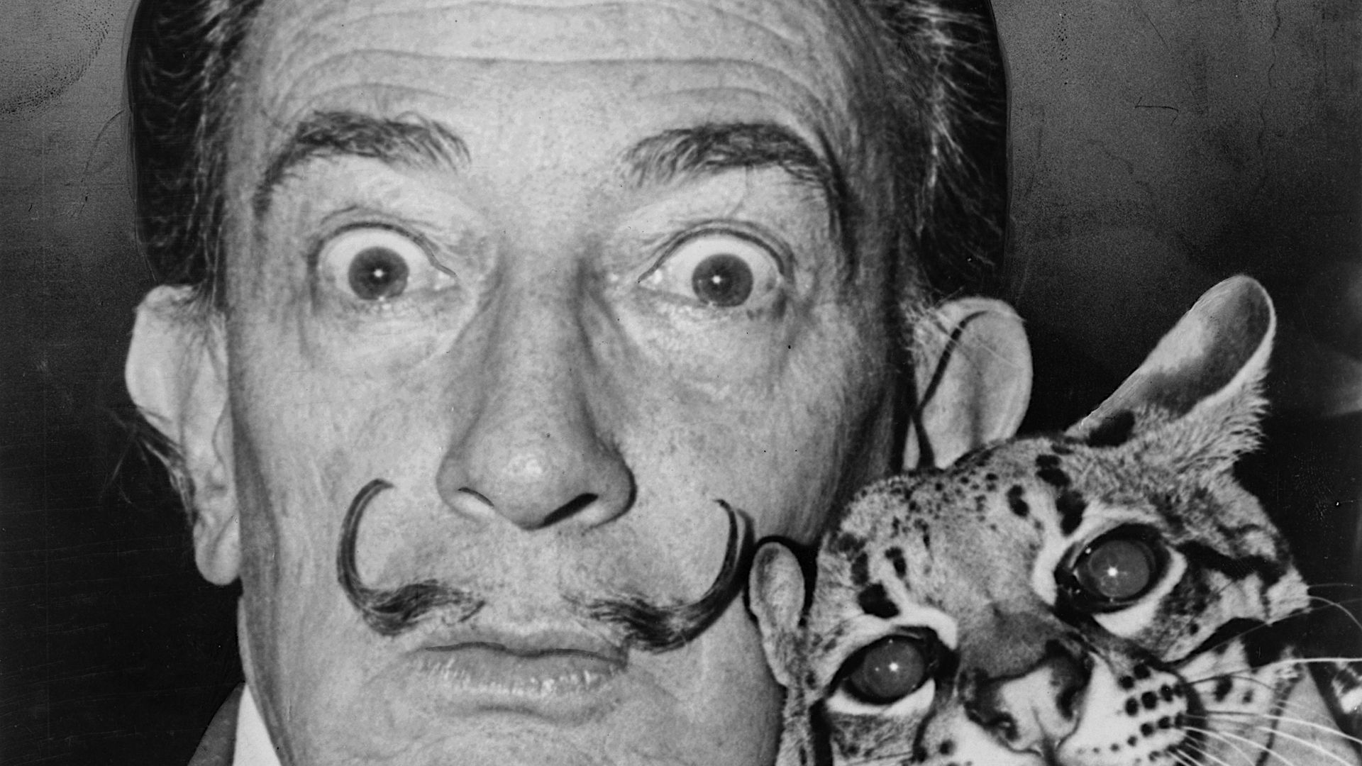 File:Salvador Dali NYWTS.jpg