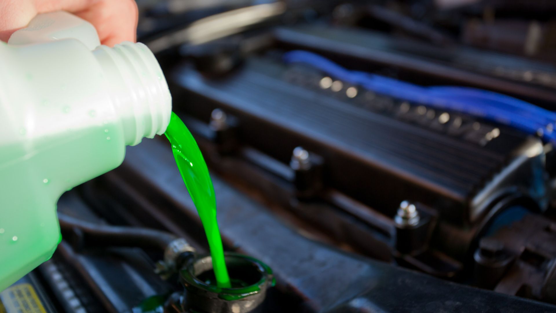 File:Engine coolant.jpg