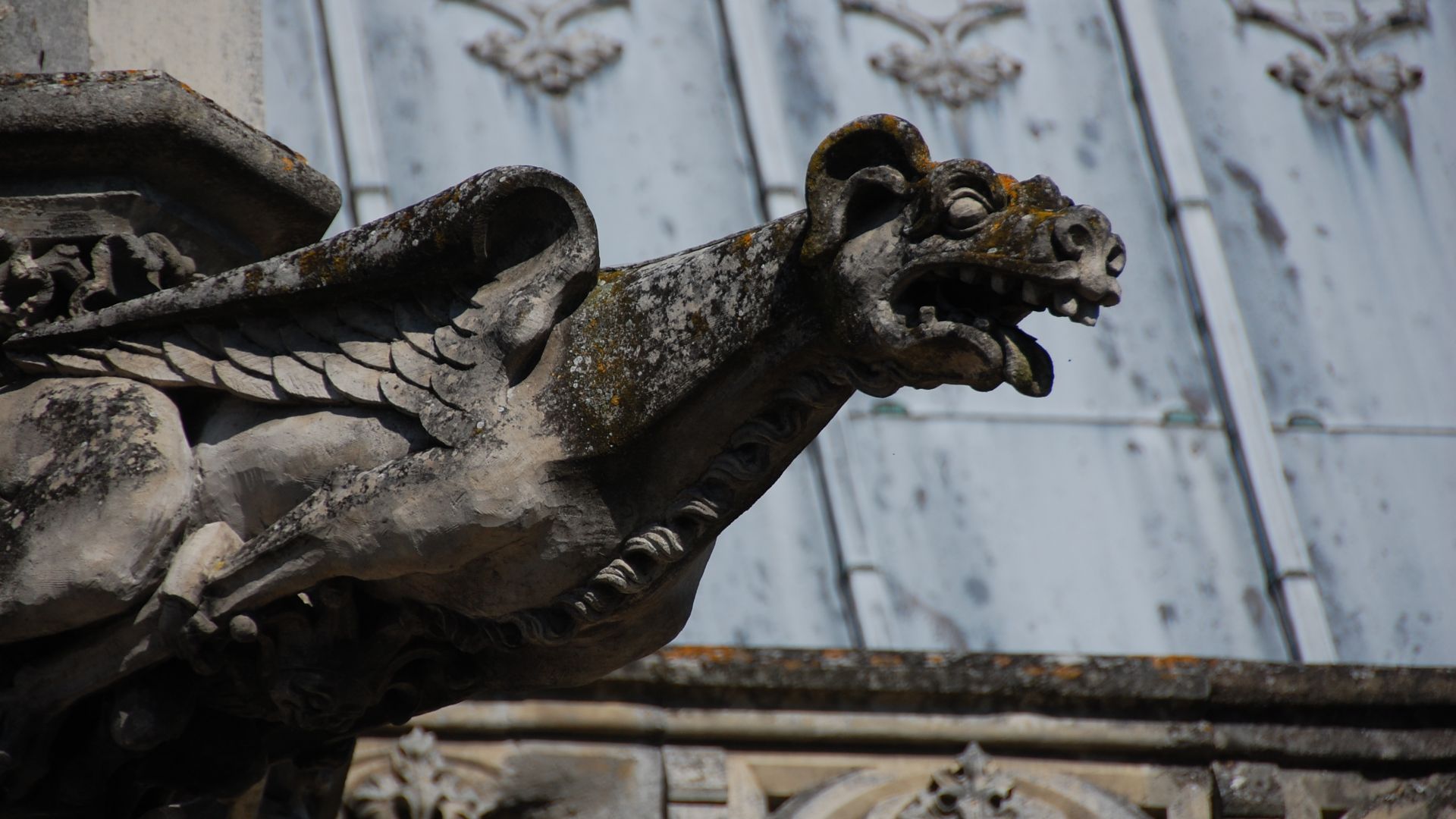 File:Gargoyle at Château d'Amboise 3843.JPG