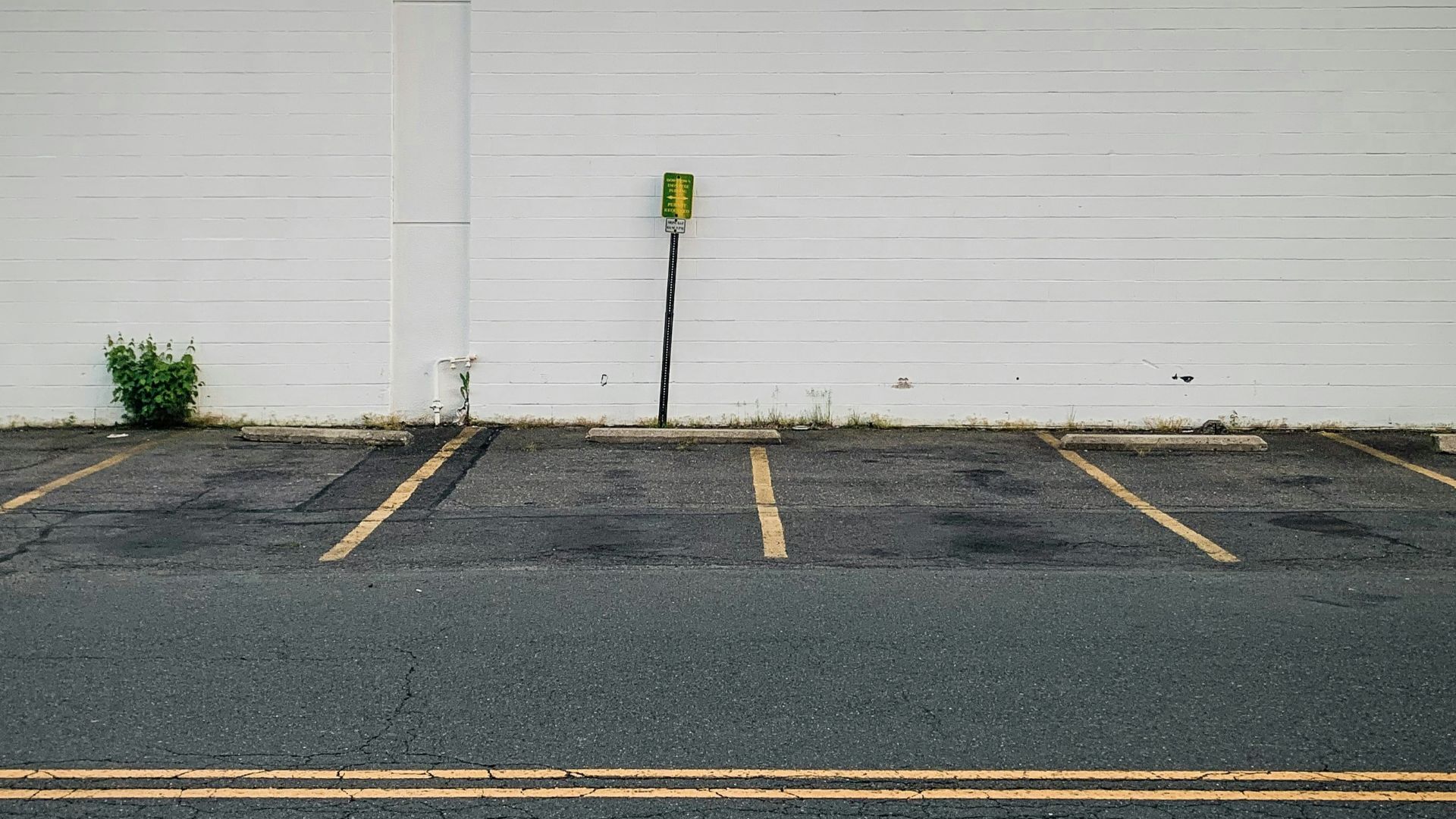 white garage door near green plants