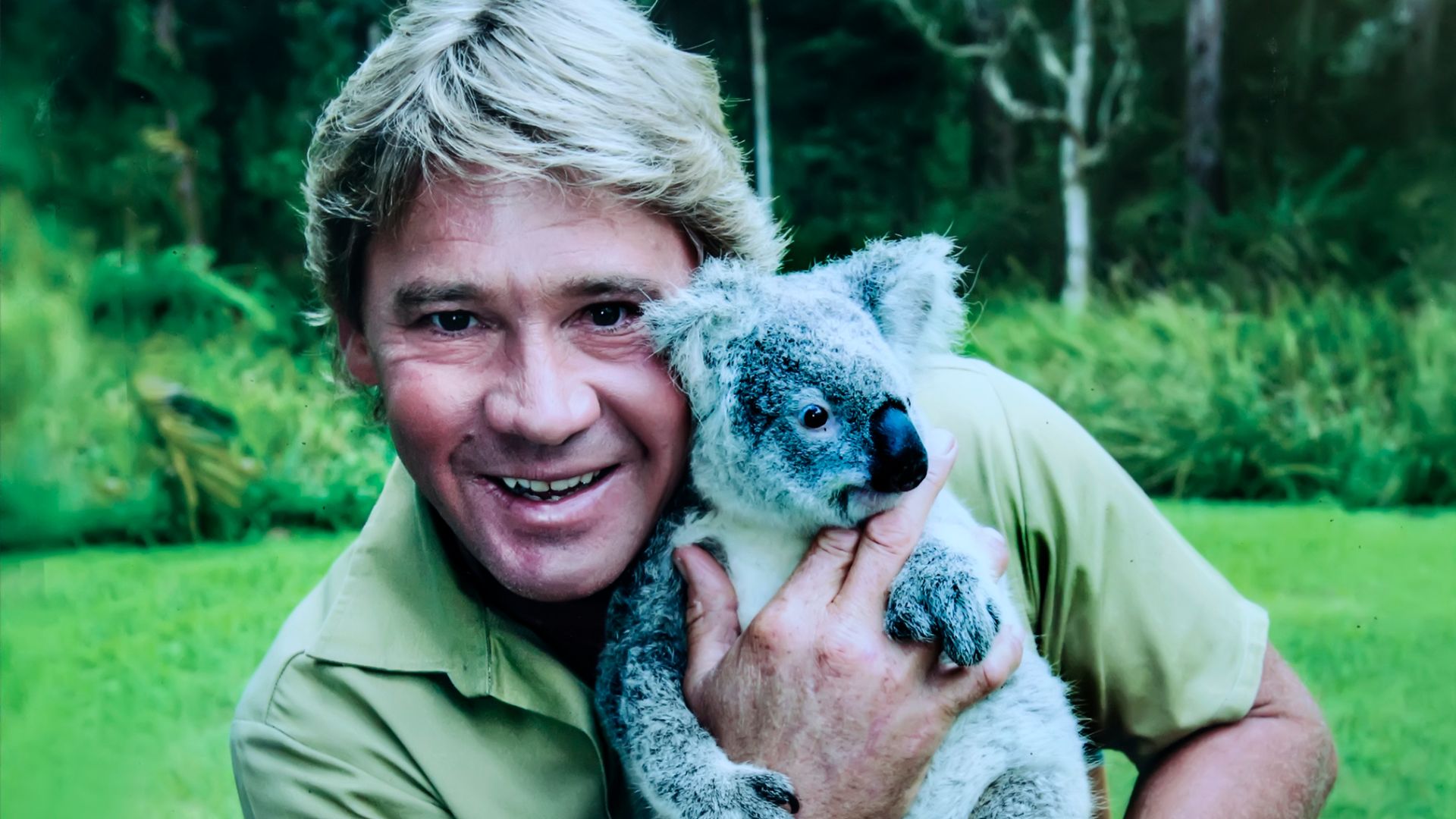 File:Steve Irwin holding Koala.jpg