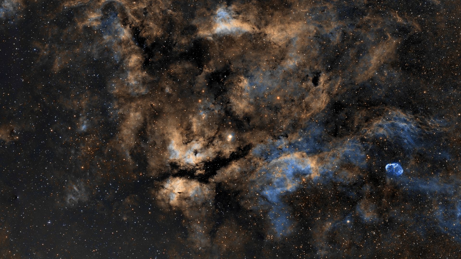 File:Cygnus region in Hubble Palette.jpg