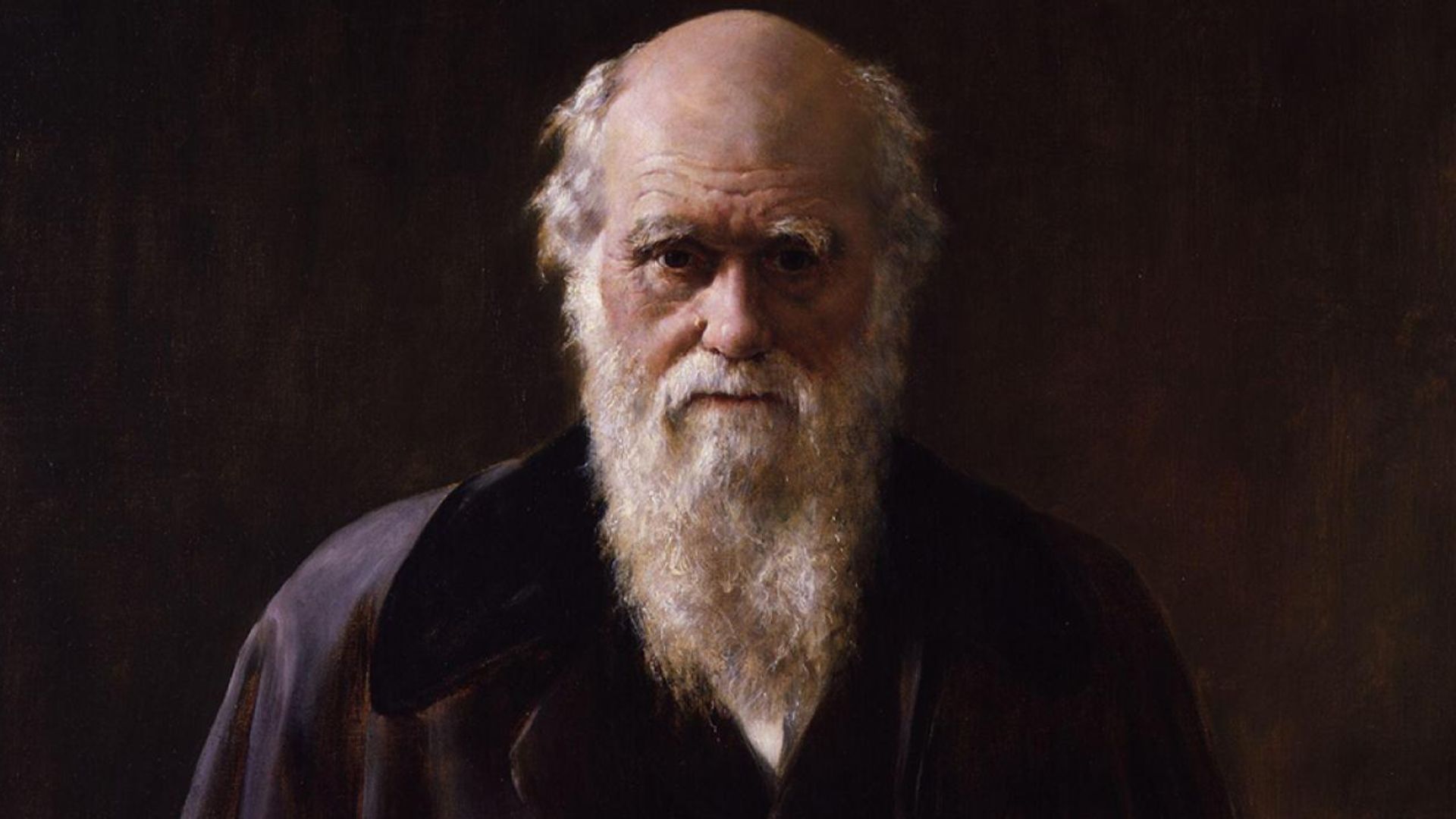 File:Charles Robert Darwin by John Collier banner.jpg