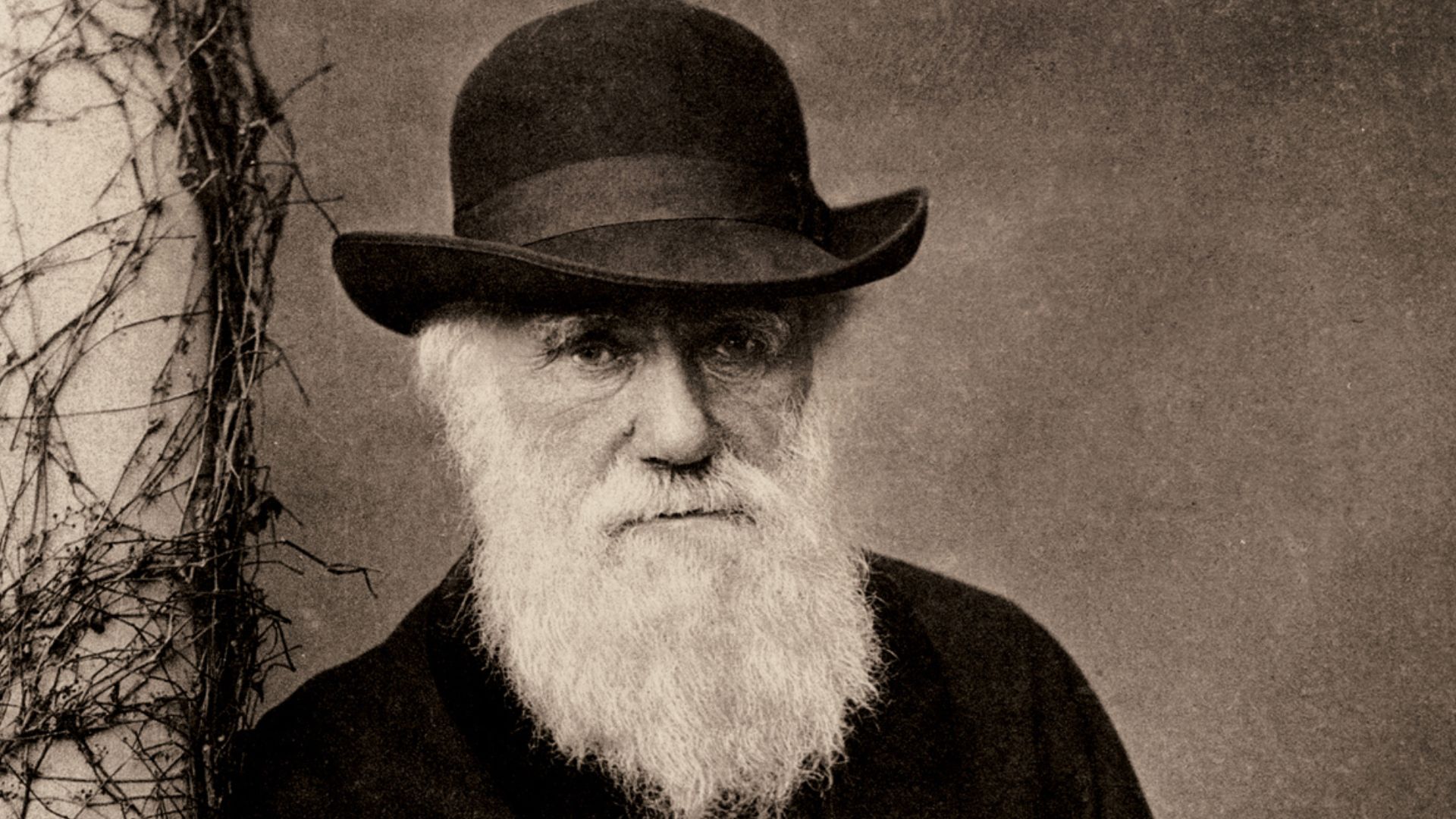 File:Charles Darwin Standing.jpg