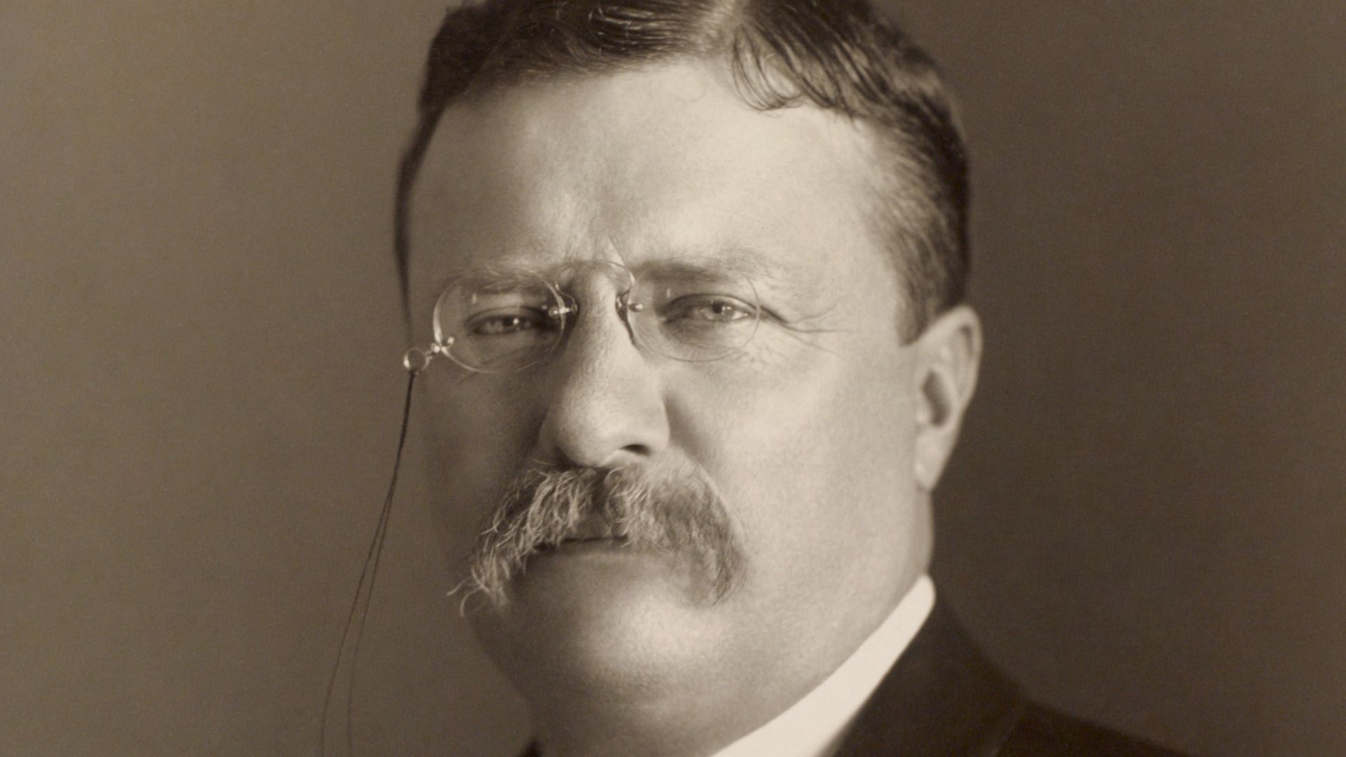 File:Theodore Roosevelt by the Pach Bros.jpg