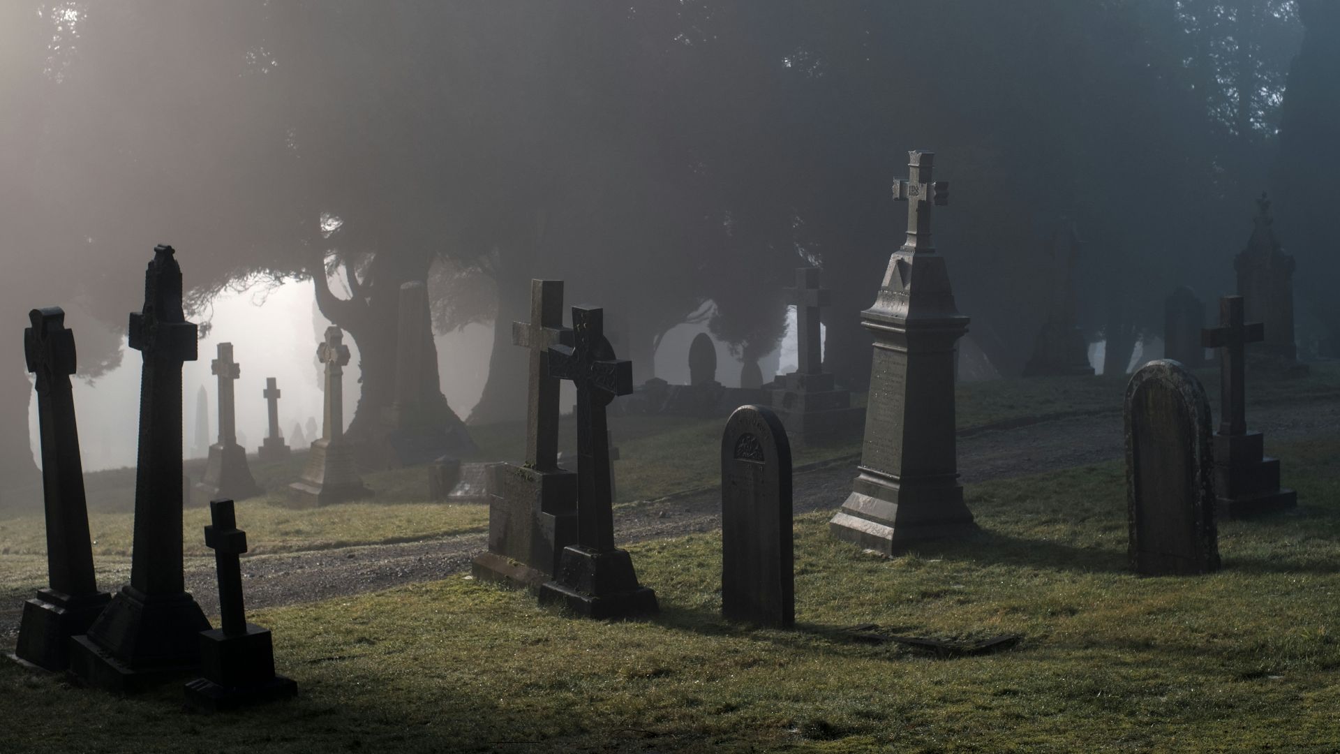 a foggy graveyard with tombstones in the foreground