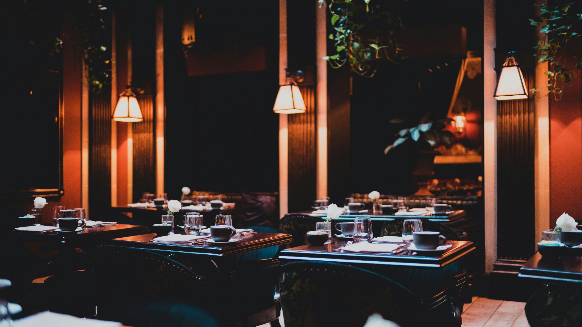 lighted lamps in room