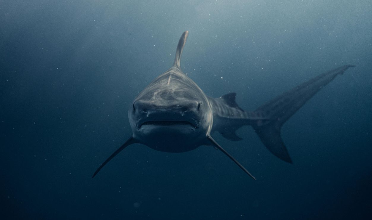 What’s Really On The Menu