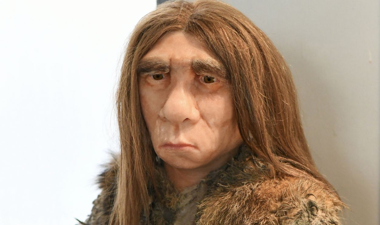 Dusseldorf, Germany, February 16, 2024, Neanderthal Museum