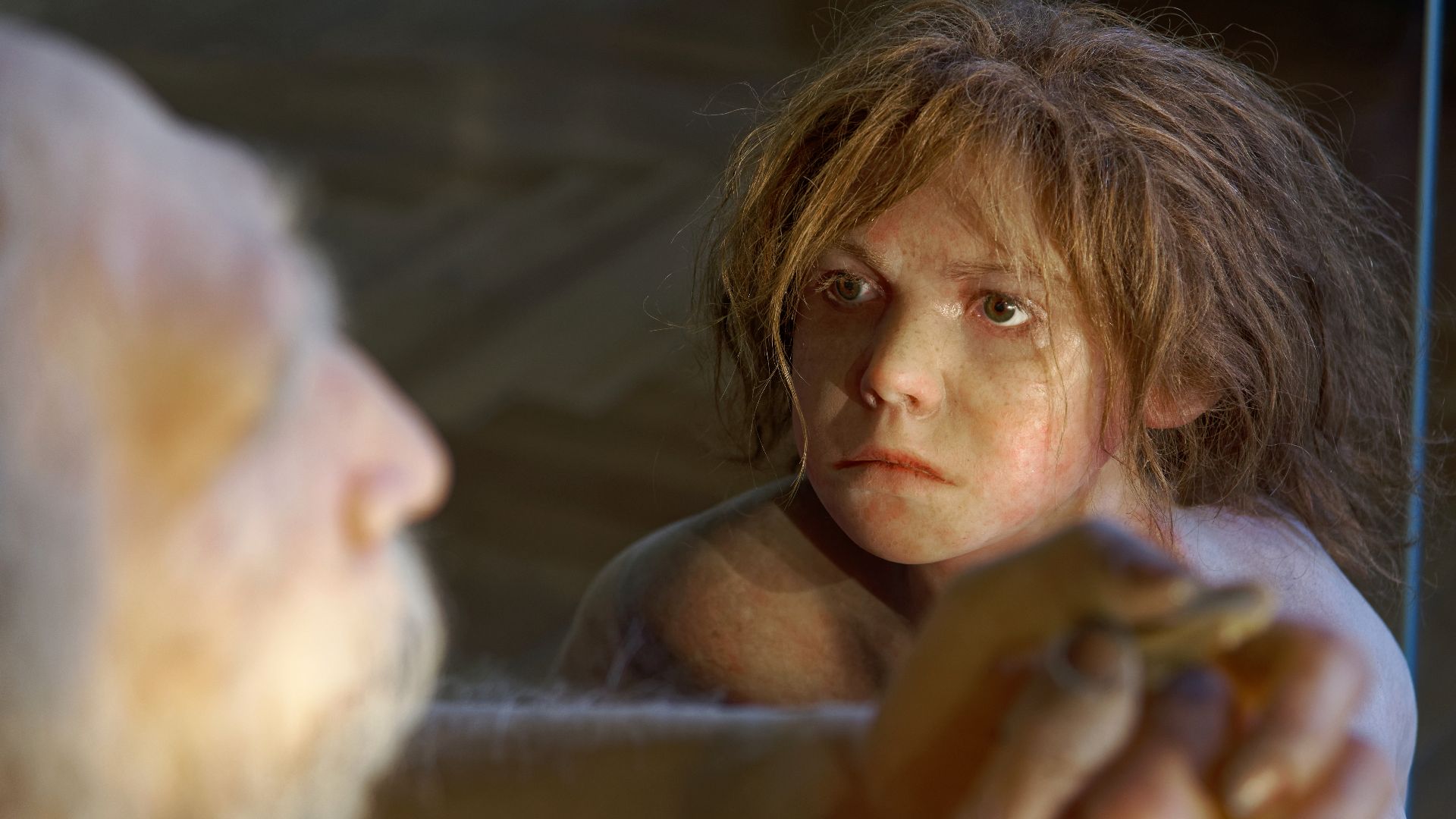 File:Homo neanderthalensis, The Natural History Museum Vienna, 20210730 1225 1278.jpg