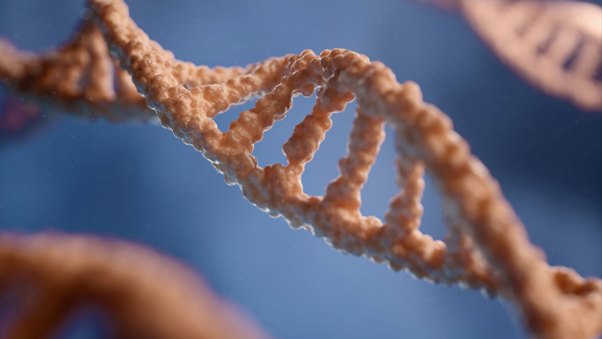 a close up of a single strand of food