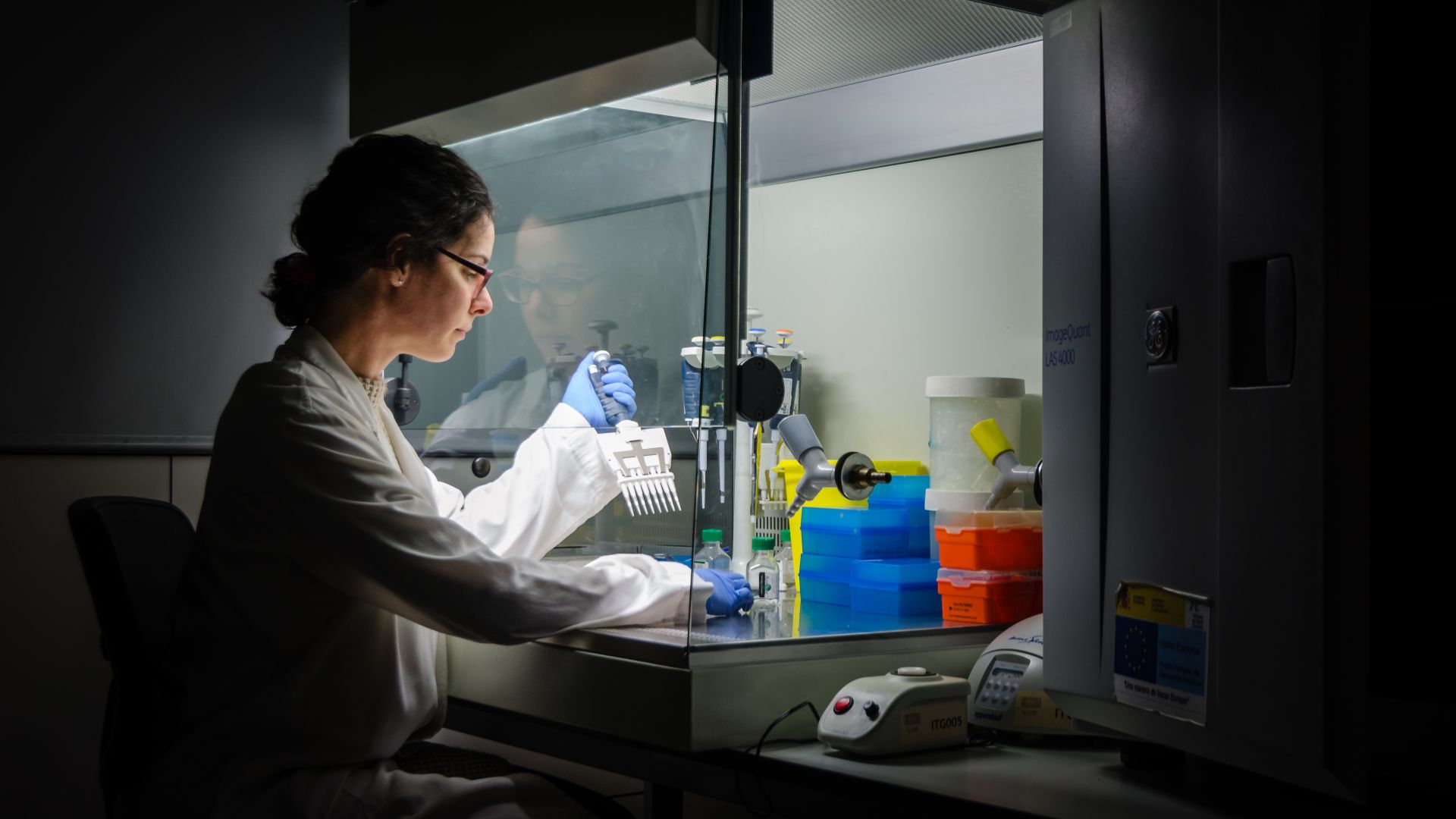 File:Researcher at work in her laboratory.jpg