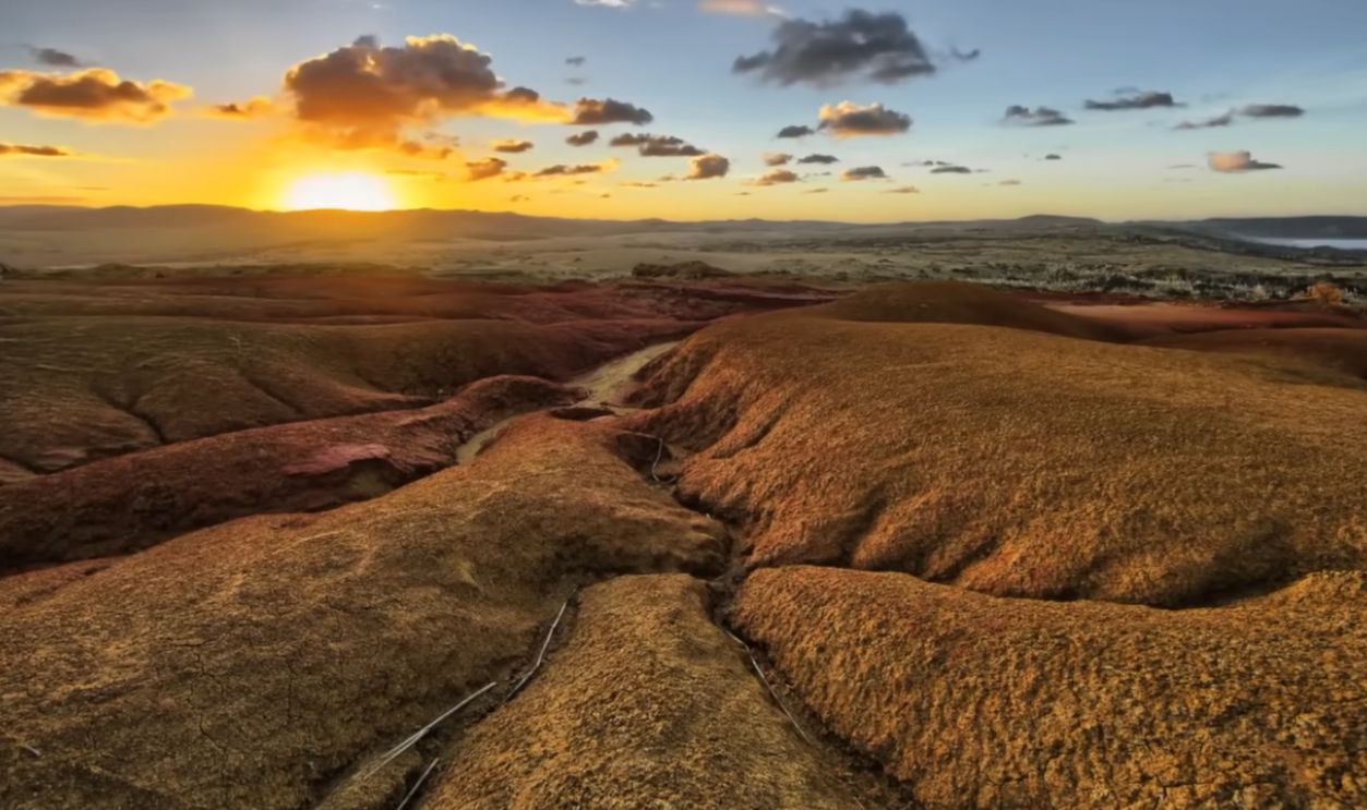 A Neanderthal Odyssey