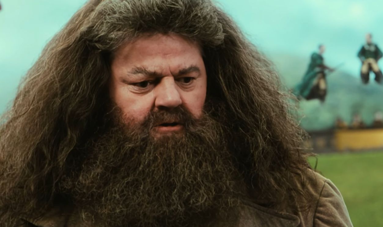 Screenshot from Harry Potter and the Chamber of Secrets (2002)