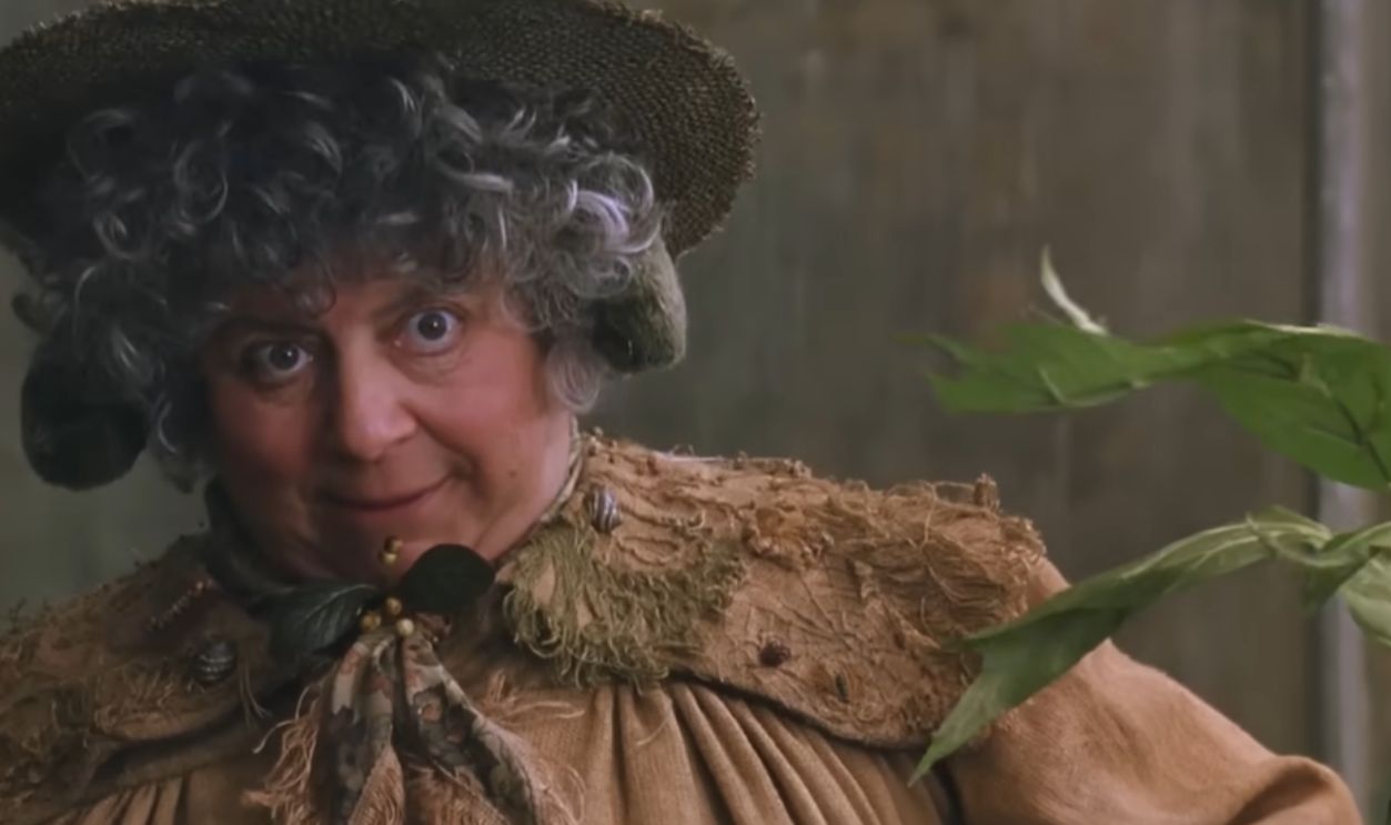 Screenshot from Harry Potter and the Chamber of Secrets (2002)