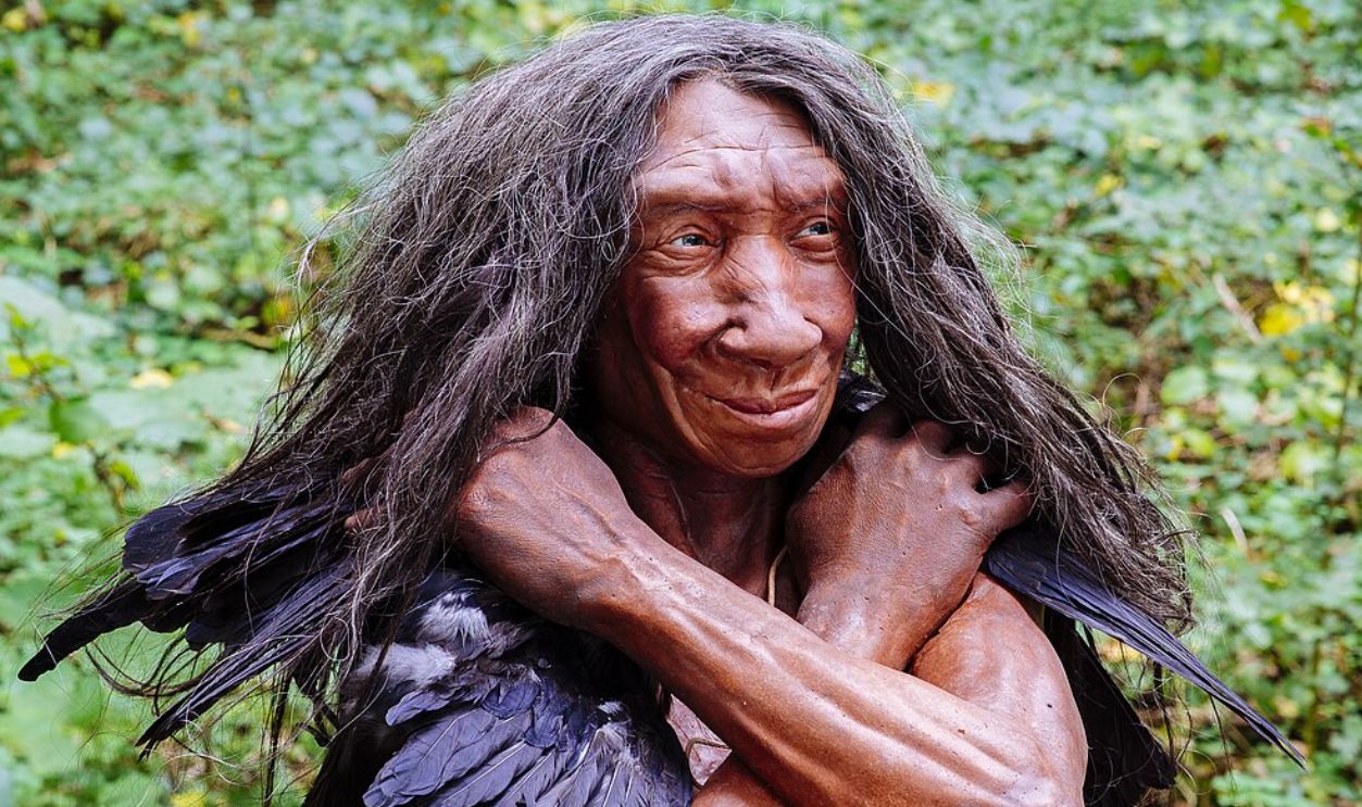 Filehomo Sapiens Neanderthalensis (Fundort Gibraltar).Jpg (1)