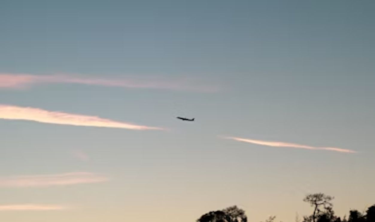 Nature’s Special Runway