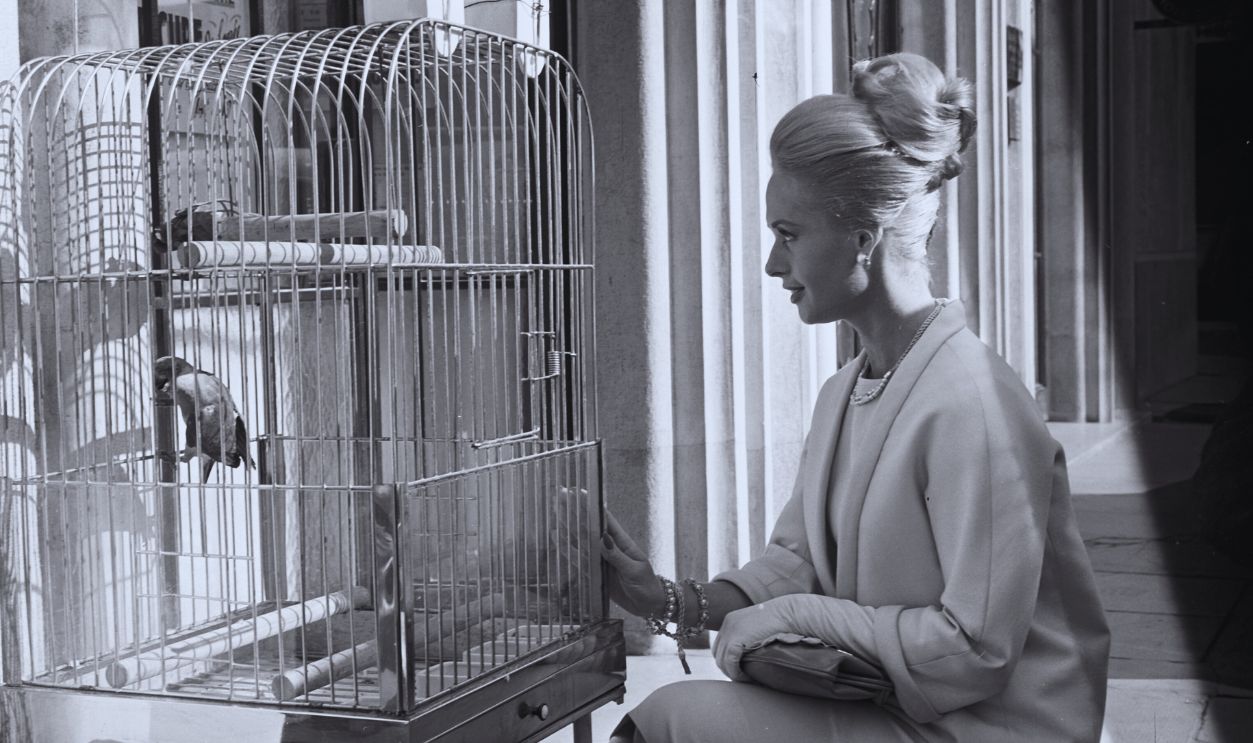   Gettyimages - 478406078, Cannes film festival 1963 The actress Tippi Hedren looking at a bird in its cage at the Cannes film festival during the presentation of Alfred Hitchcock's movie 