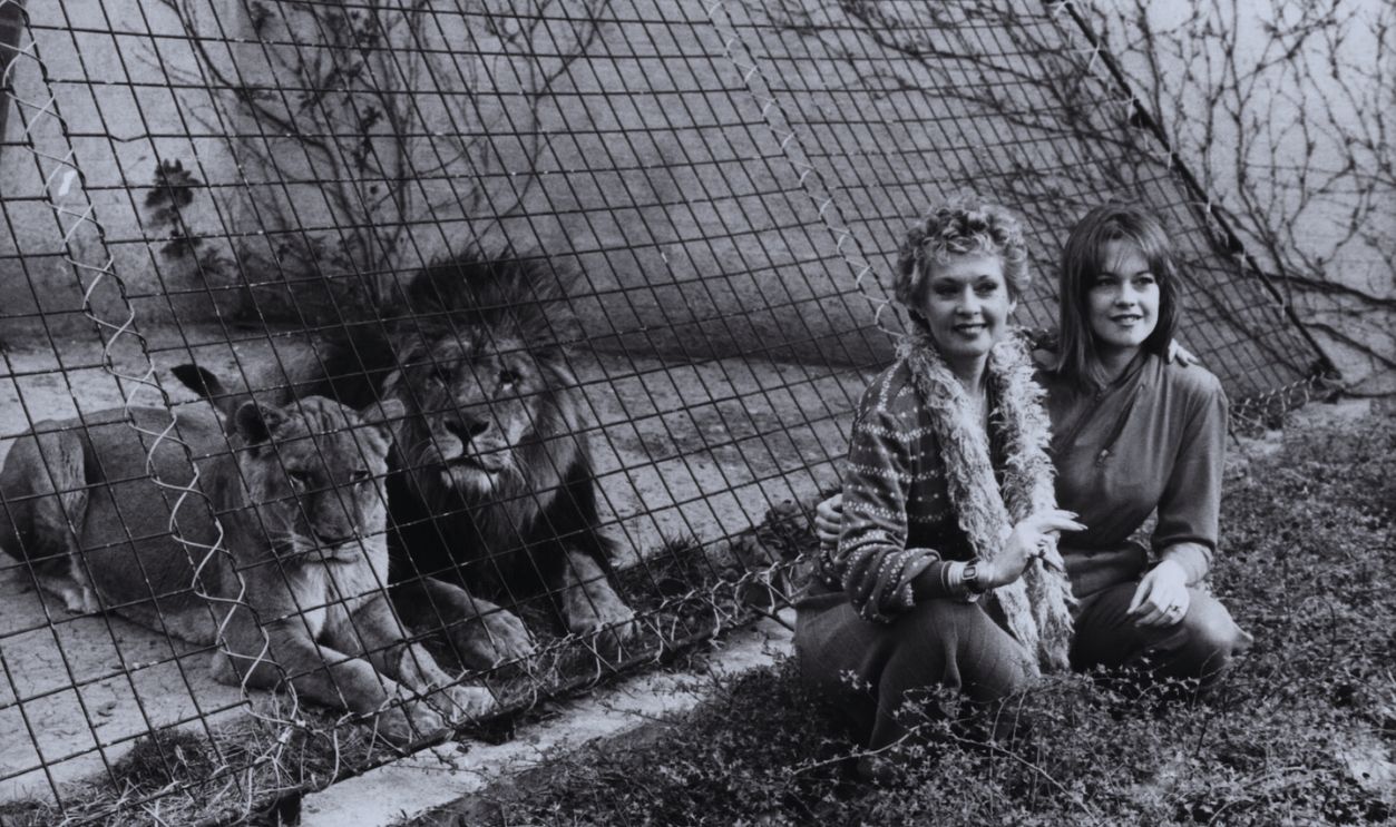 Gettyimages - 613479024, Tippi Hedren and Melanie Griffith, 1982 Actress Tippi Hedren and her daughter Melanie Griffith at the lion enclosure at London Zoo, 1982. 