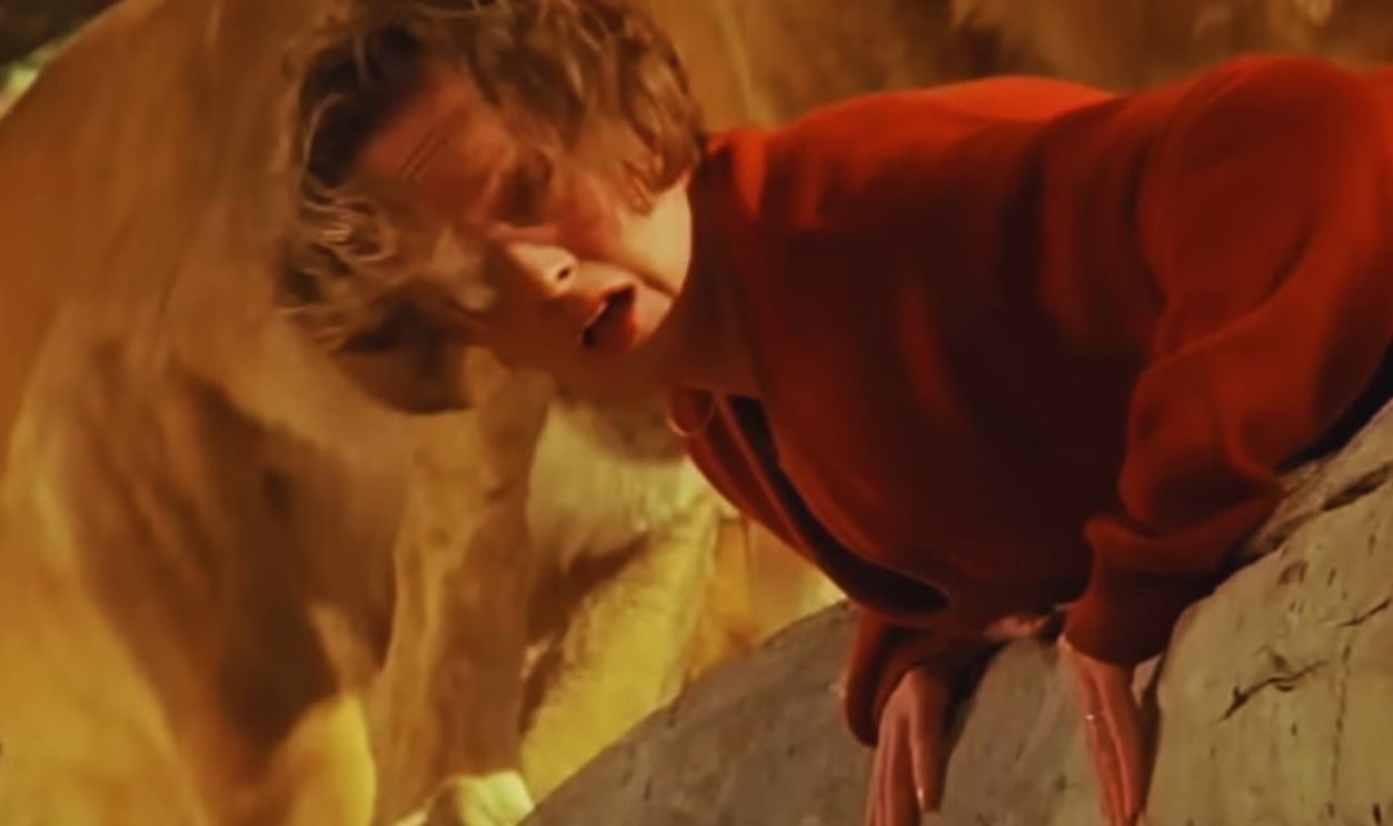 Screenshot from Roar (1981)