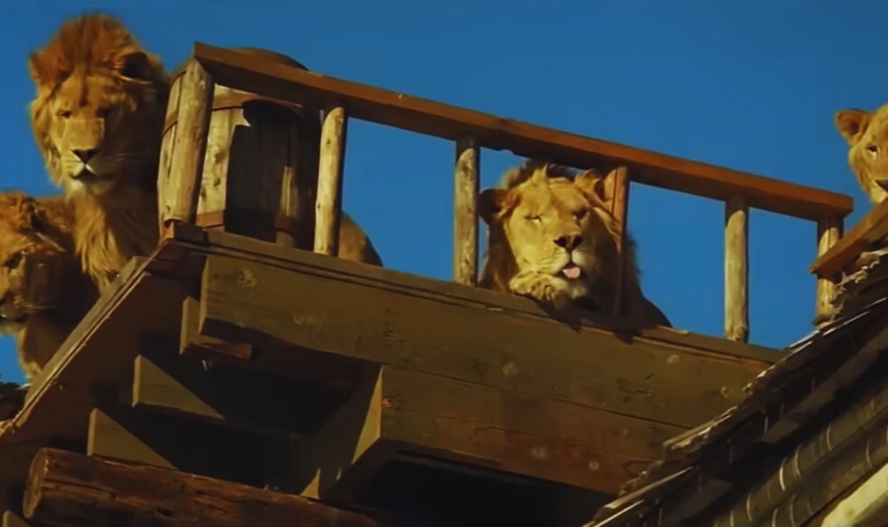 Screenshot from Roar (1981)