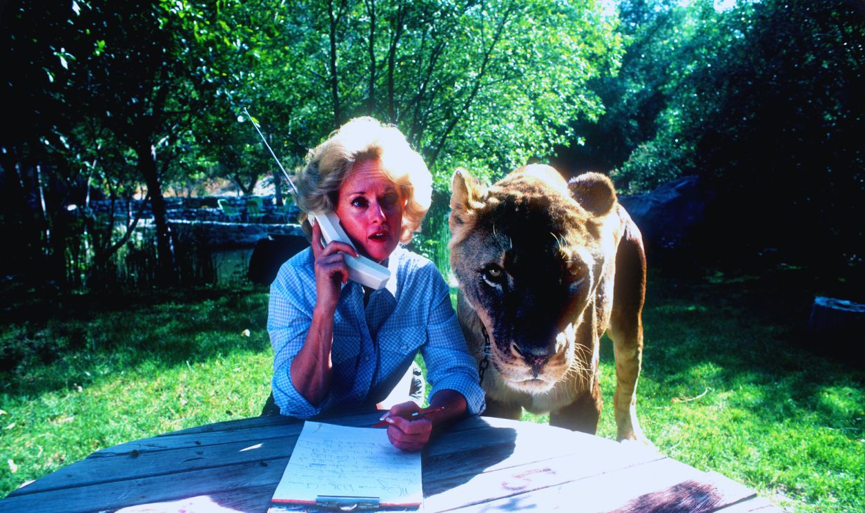 Gettyimages - 869779554, Tipi Hedren, SAUGUS, CA, NOVEMBER 16 : Actress Tipi Hedren, mother of Melanie Griffiths talks on a cell phone at her Saugus Animal reserve with a full grown female lion. November 16, 1983 at a table in Saugus, California 