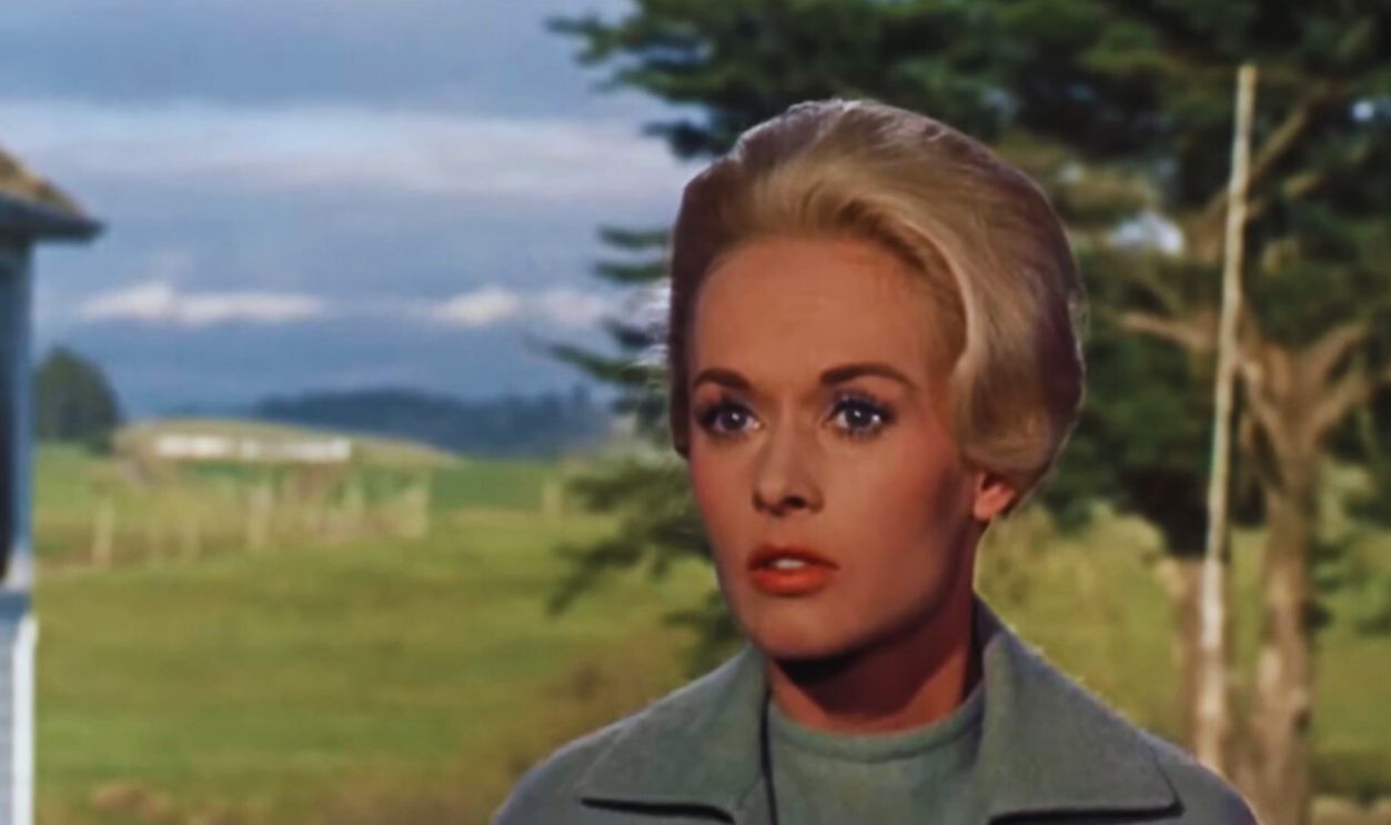 Screenshot from The Birds (1963)