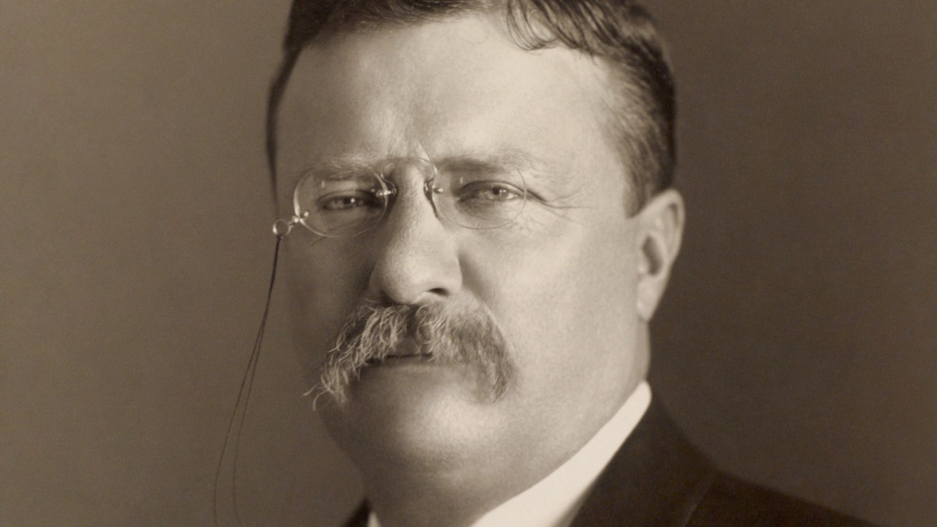 File:Theodore Roosevelt by the Pach Bros.png