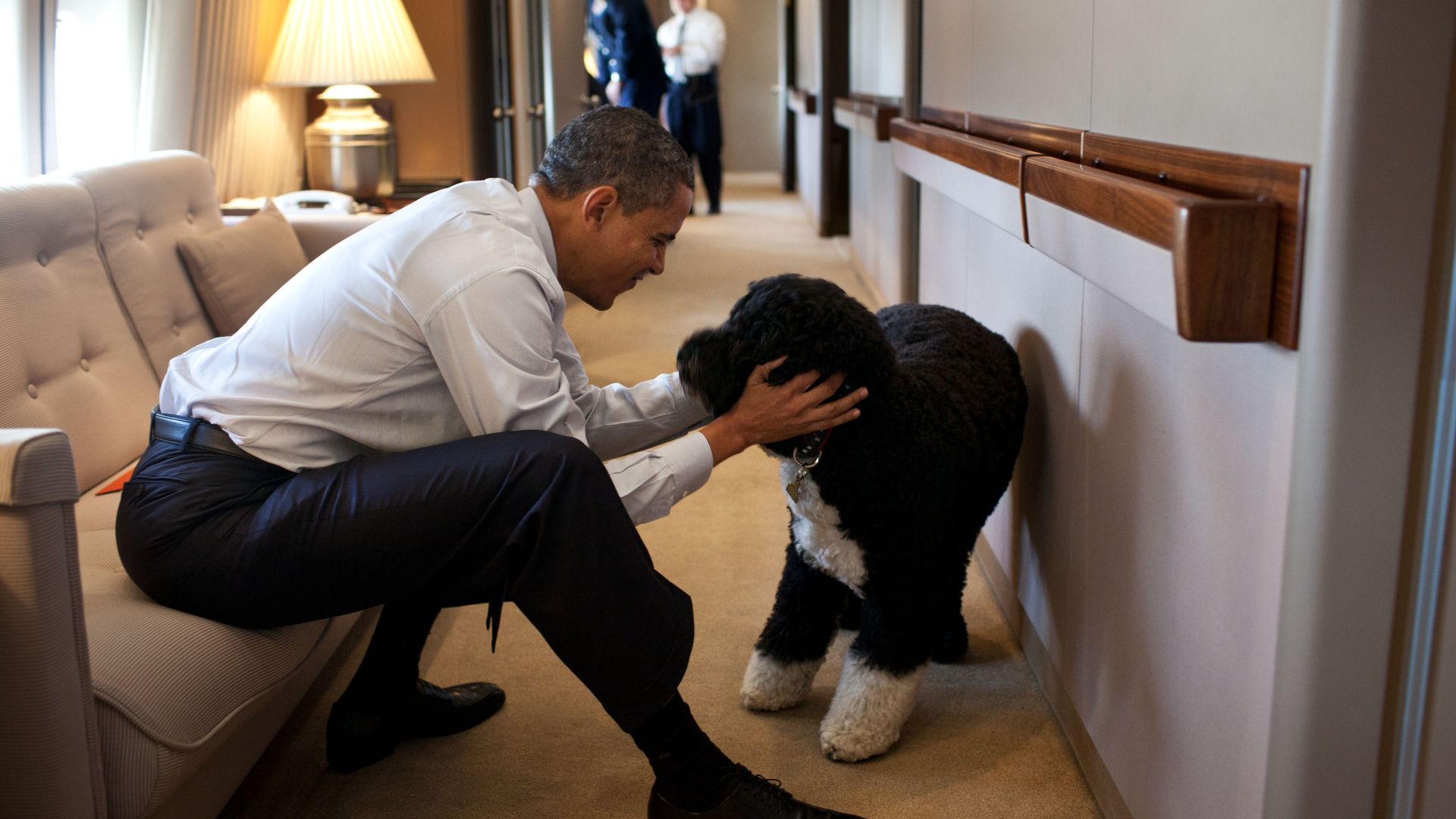 File:Obama and Bo on Airforce One.jpg
