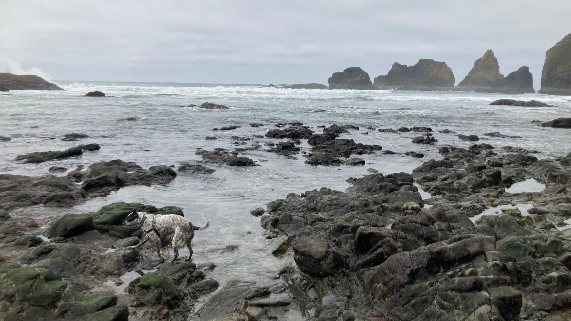 File:Pacific Ocean and rocks from Tunnel Beach in Seaside Oregon.jpg