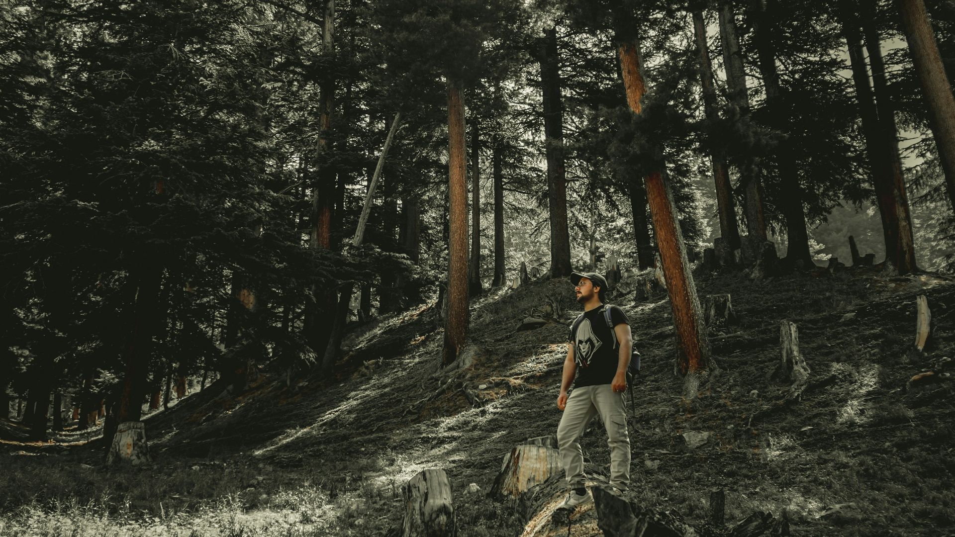 man in white shirt and brown pants standing on brown tree log during daytime
